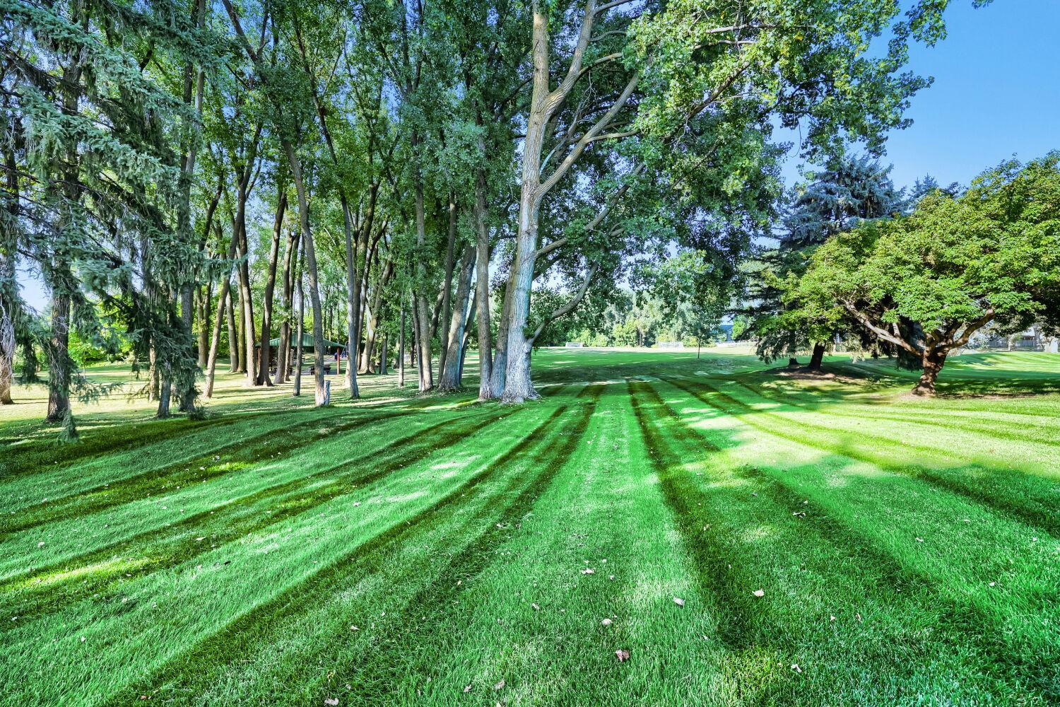 View of Residential at 4190 White Bear Parkway #1207, White Bear Lake MN 55110, White Bear Lake (5 of 29) - Mike Wilen | Minnesota Team Real Estate