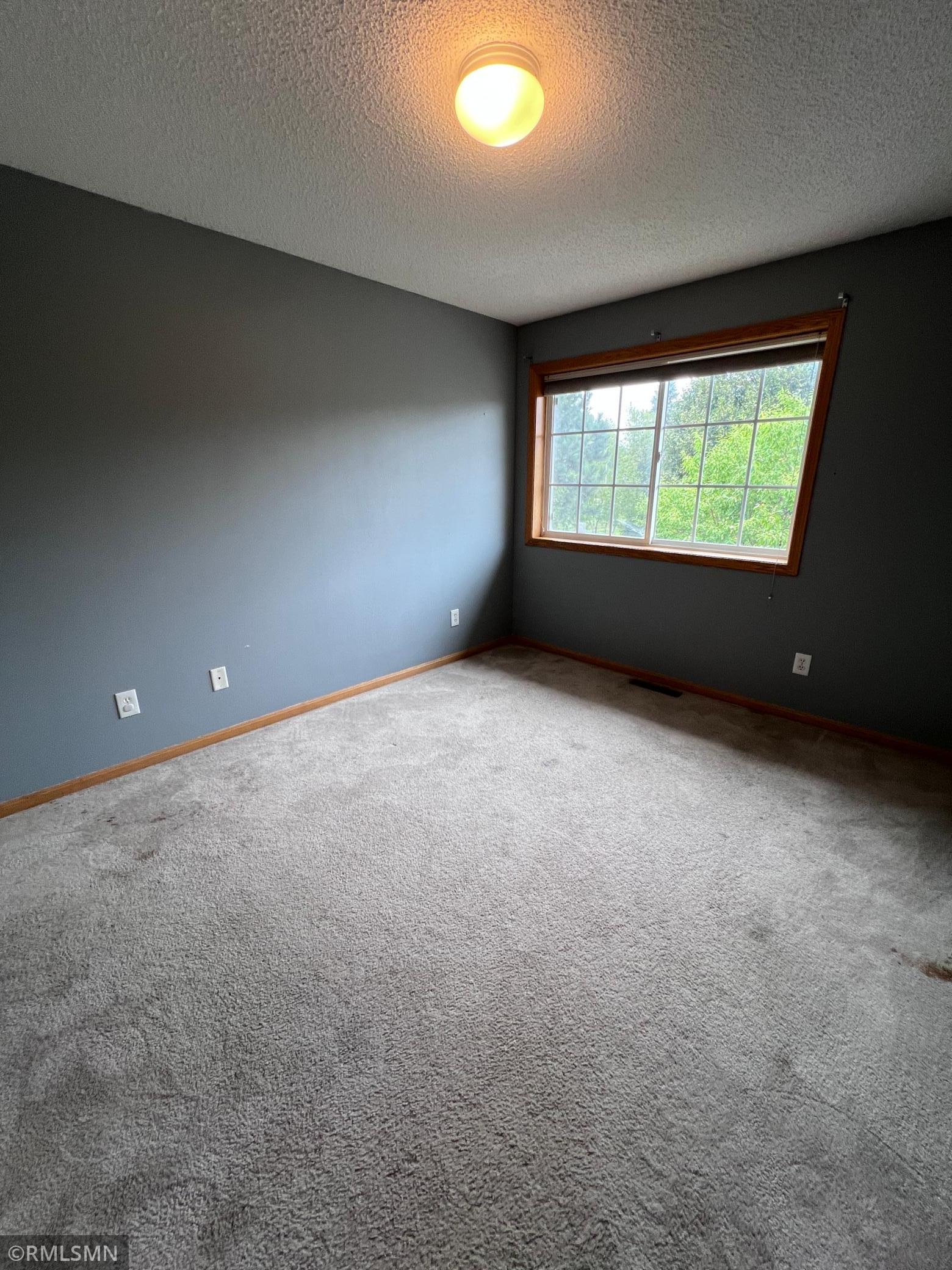 View of Residential at 20616 Erin Way #74, Farmington MN 55024, Farmington (15 of 20) - Mike Wilen | Minnesota Team Real Estate