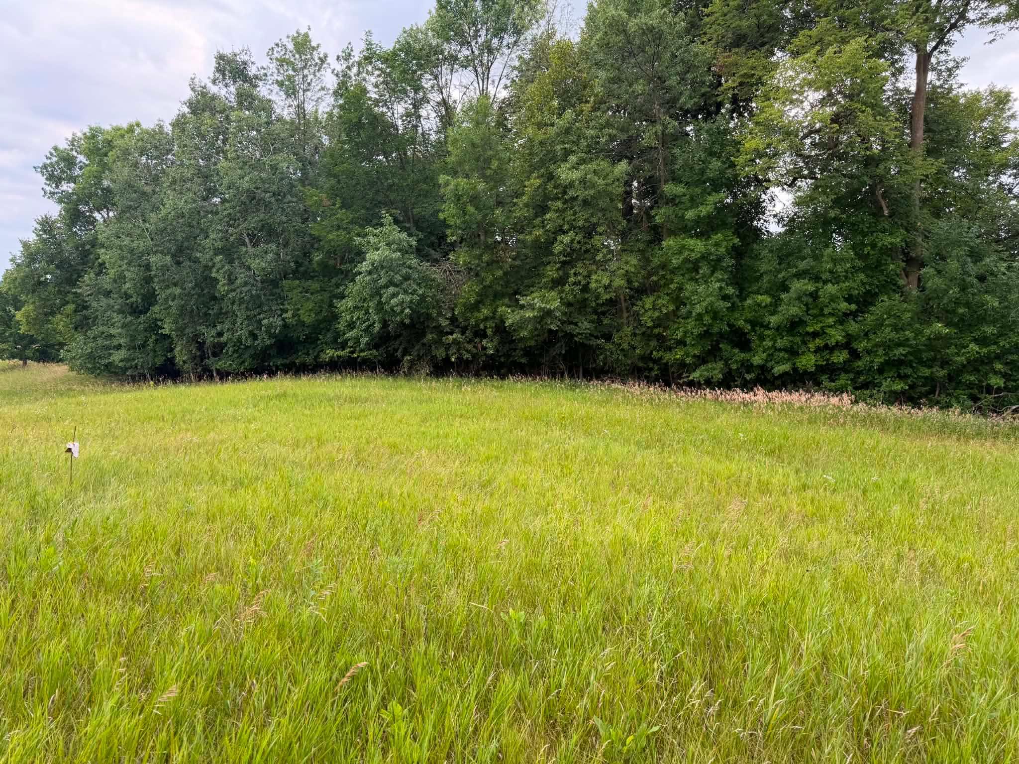 View of Land at TBD 405th Avenue, Braham MN 55006, Braham - Mike Wilen | Minnesota Team Real Estate