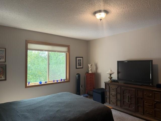 View of Residential at 14361 Hummingbird Street, Andover MN 55304, Andover (14 of 37) - Mike Wilen | Minnesota Team Real Estate