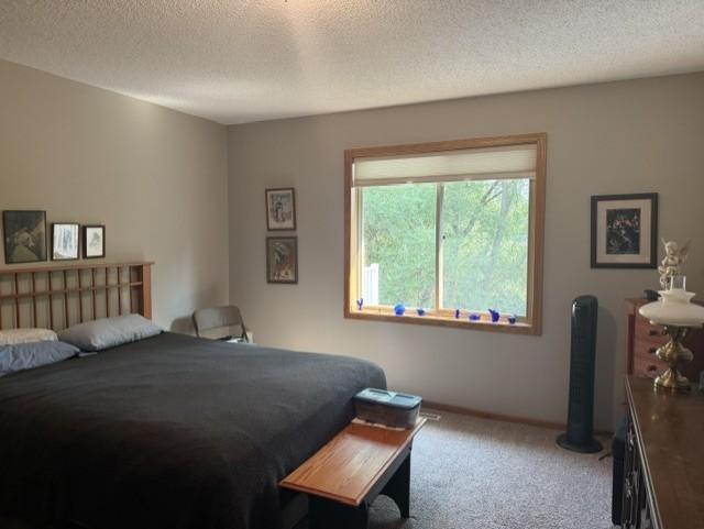 View of Residential at 14361 Hummingbird Street, Andover MN 55304, Andover (13 of 37) - Mike Wilen | Minnesota Team Real Estate
