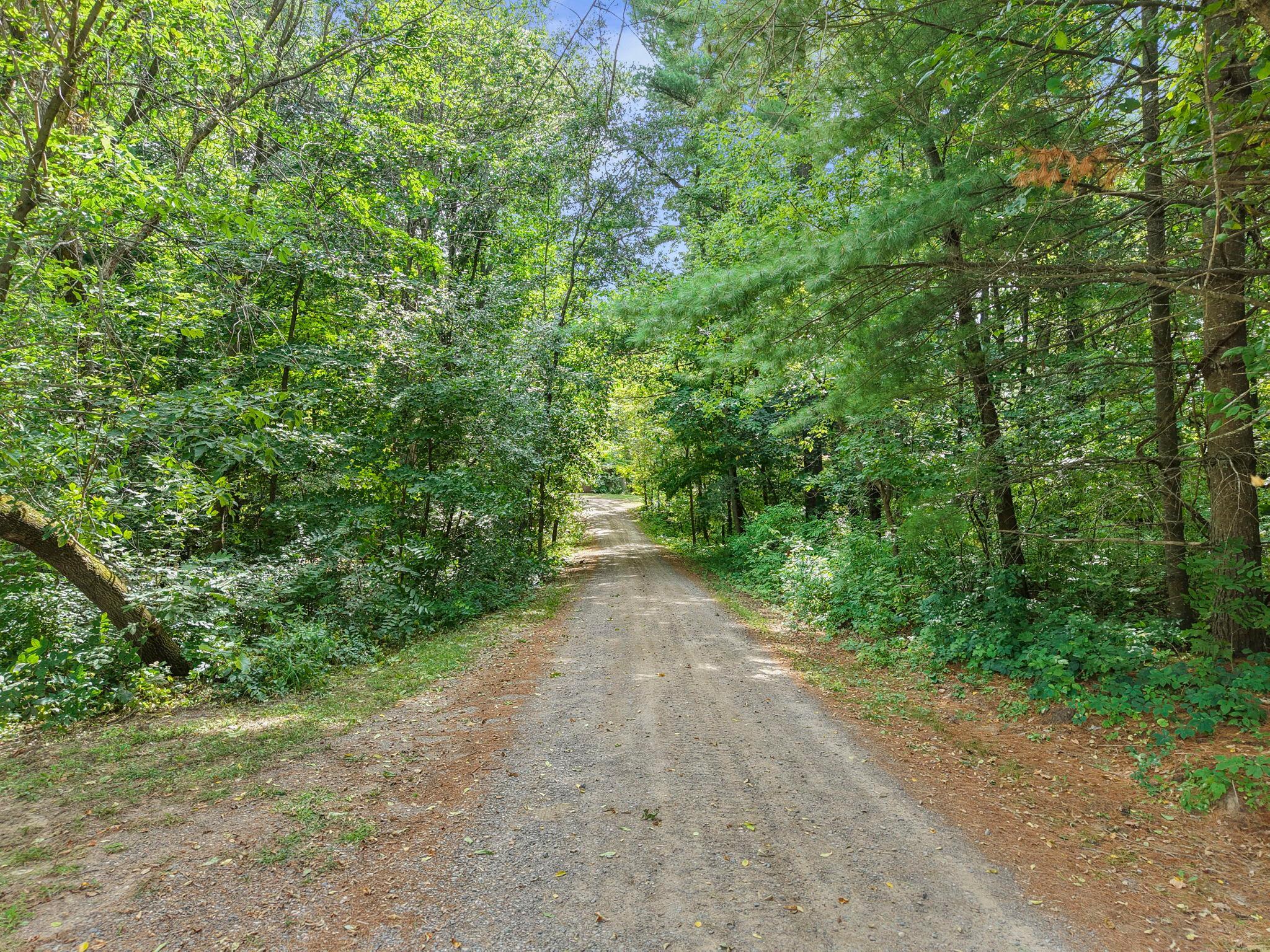 View of Residential at 1174 381st Avenue, Stanchfield MN 55080, Stanchfield (36 of 50) - Mike Wilen | Minnesota Team Real Estate