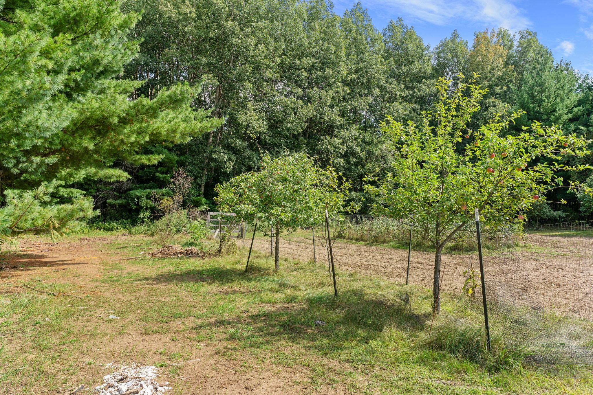 View of Residential at 1174 381st Avenue, Stanchfield MN 55080, Stanchfield (30 of 50) - Mike Wilen | Minnesota Team Real Estate