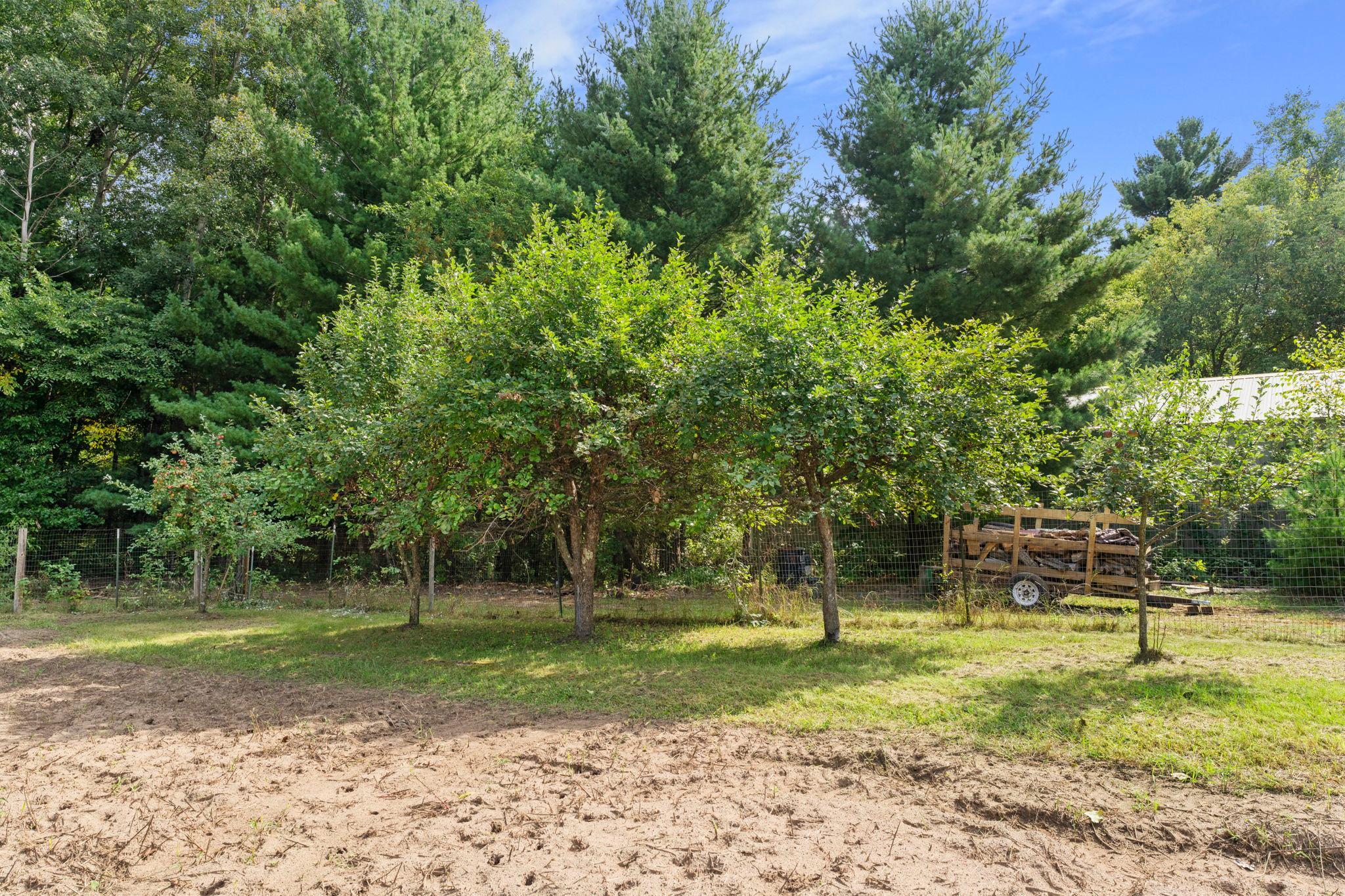 View of Residential at 1174 381st Avenue, Stanchfield MN 55080, Stanchfield (31 of 50) - Mike Wilen | Minnesota Team Real Estate