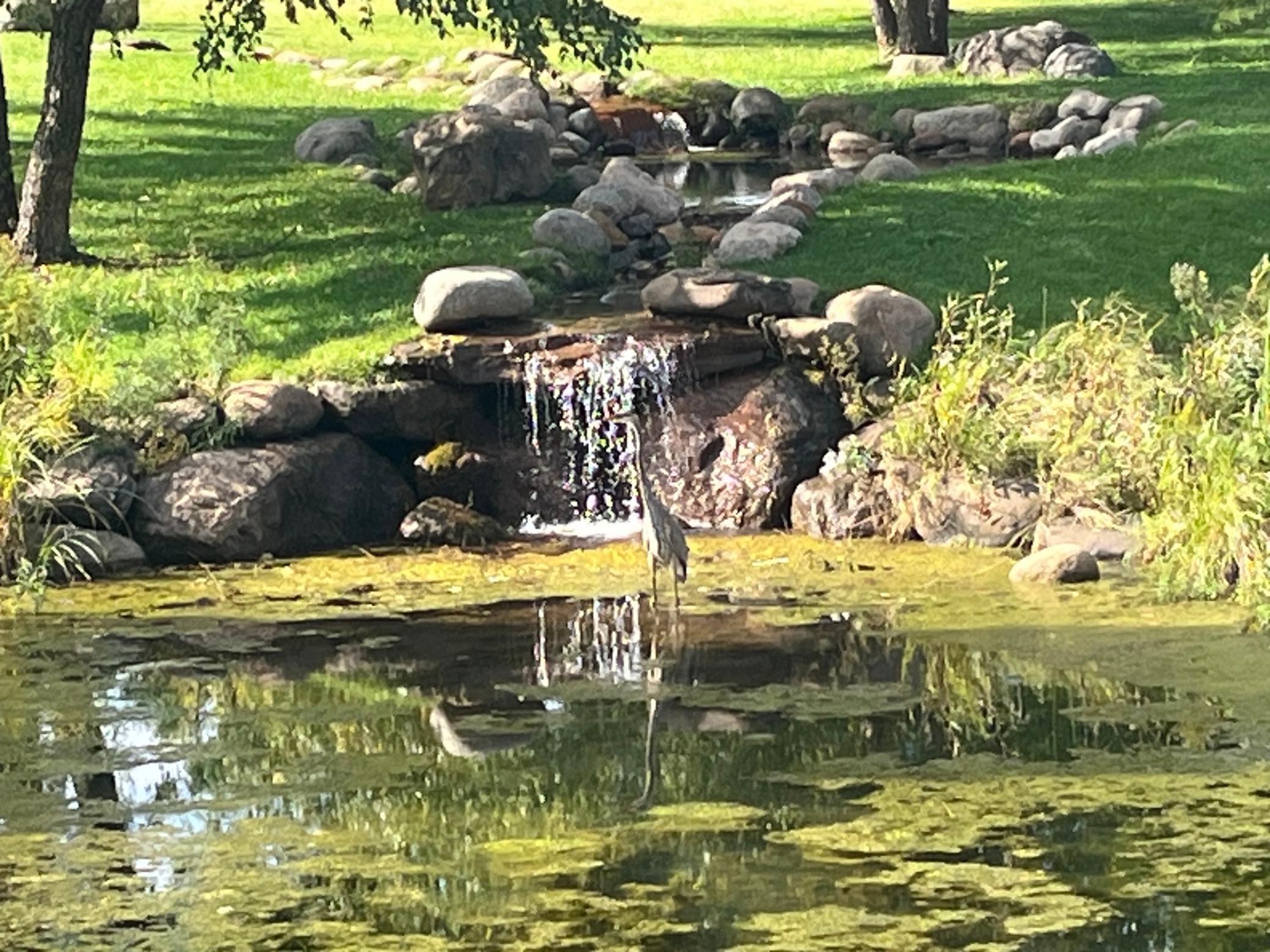 View of Residential at 7478 146th Avenue, Ramsey MN 55303, Ramsey (36 of 63) - Mike Wilen | Minnesota Team Real Estate
