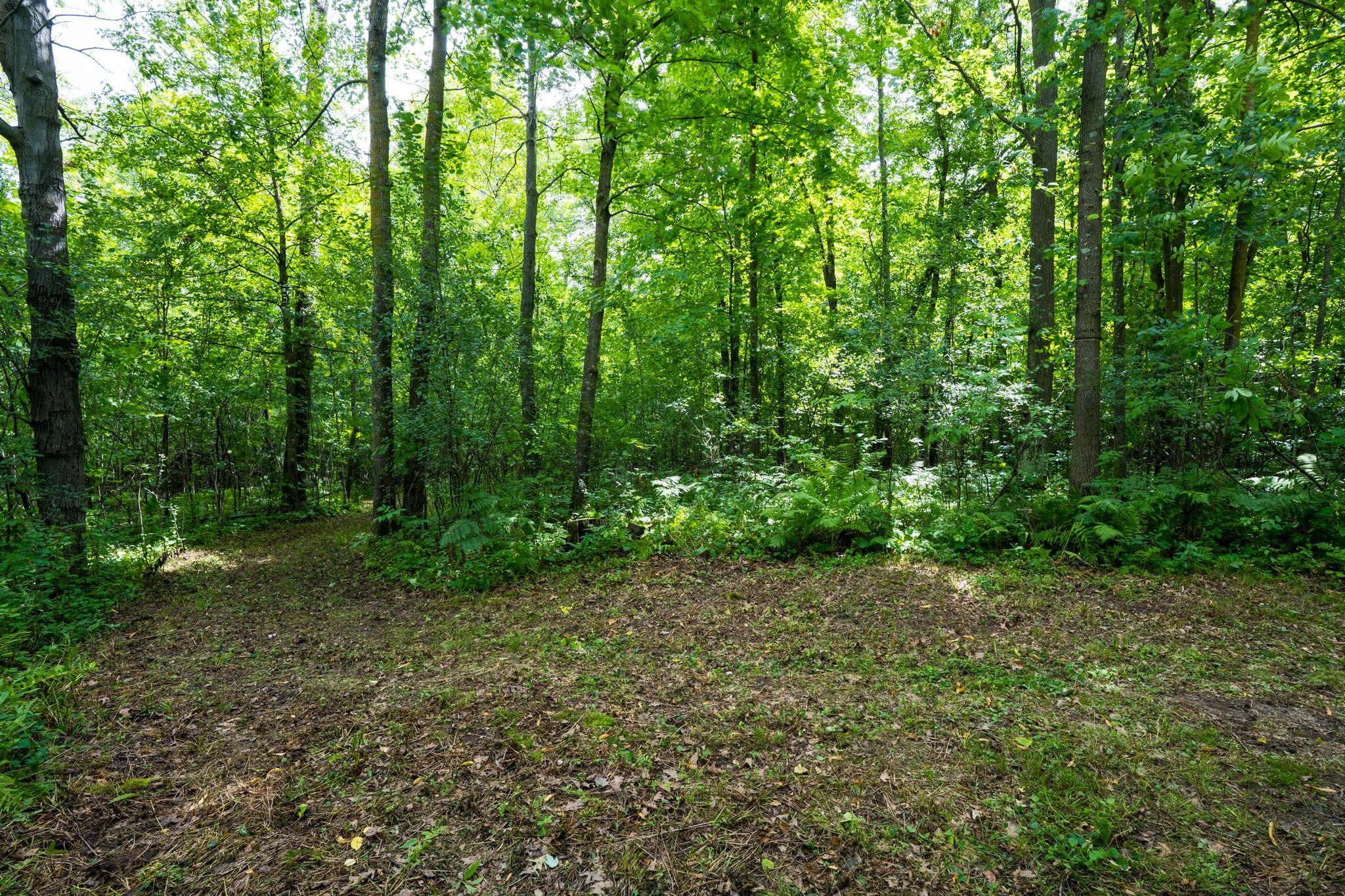 View of Land at 7xxx 200th St., Milaca MN 56353, Milaca (8 of 10) - Mike Wilen | Minnesota Team Real Estate