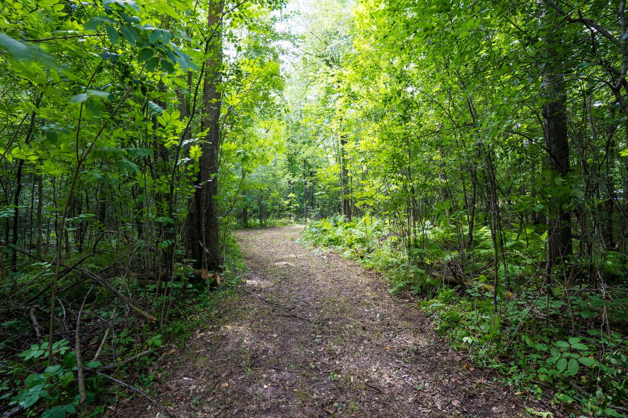 View of Land at 7xxx 200th St., Milaca MN 56353, Milaca (7 of 10) - Mike Wilen | Minnesota Team Real Estate