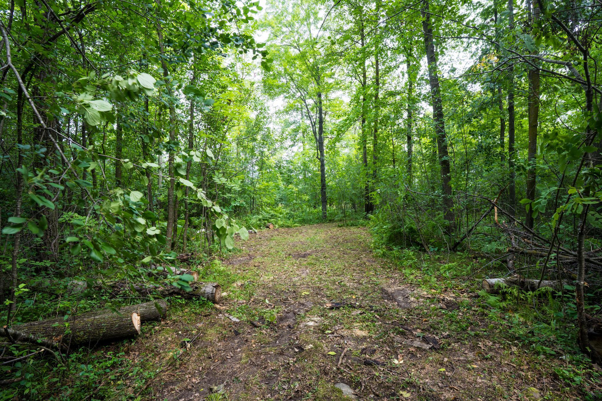 View of Land at 7xxx 200th St., Milaca MN 56353, Milaca - Mike Wilen | Minnesota Team Real Estate