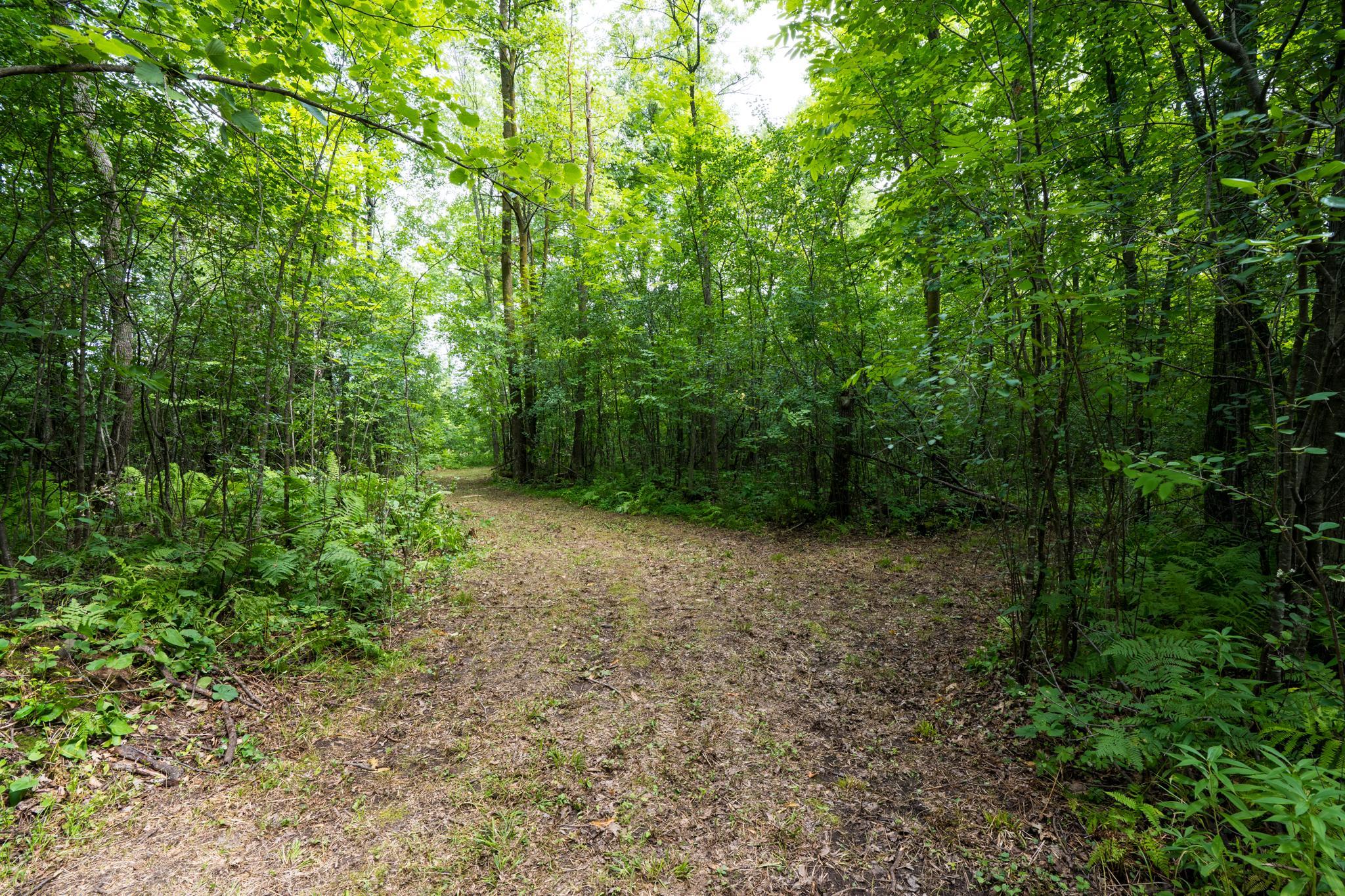 View of Land at 7xxx 200th St., Milaca MN 56353, Milaca (5 of 10) - Mike Wilen | Minnesota Team Real Estate