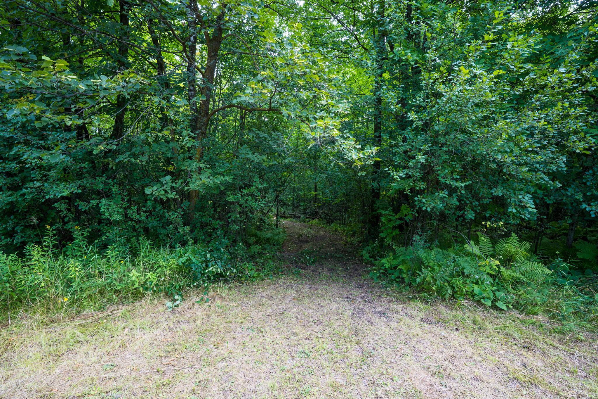 View of Land at 7xxx 200th St., Milaca MN 56353, Milaca (4 of 10) - Mike Wilen | Minnesota Team Real Estate