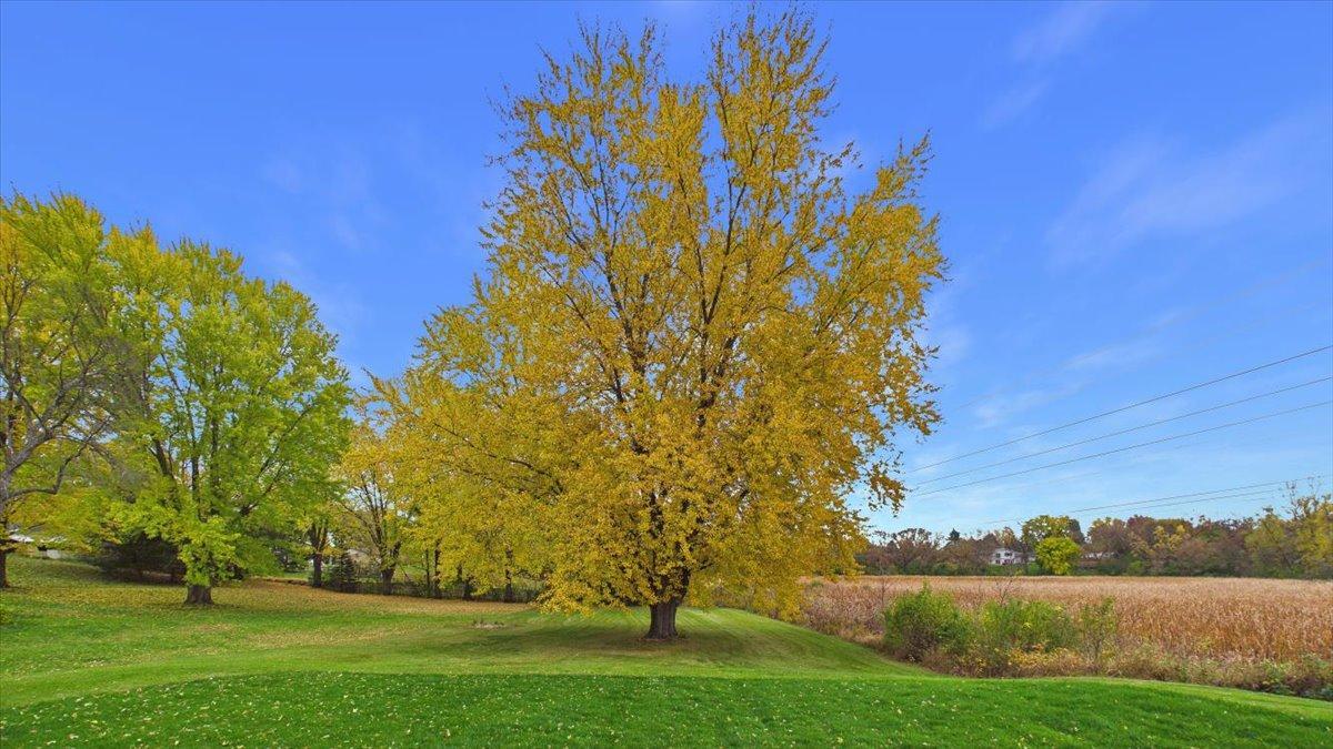 View of Residential at 13585 Vernon Avenue, Savage MN 55378, Savage (38 of 50) - Mike Wilen | Minnesota Team Real Estate