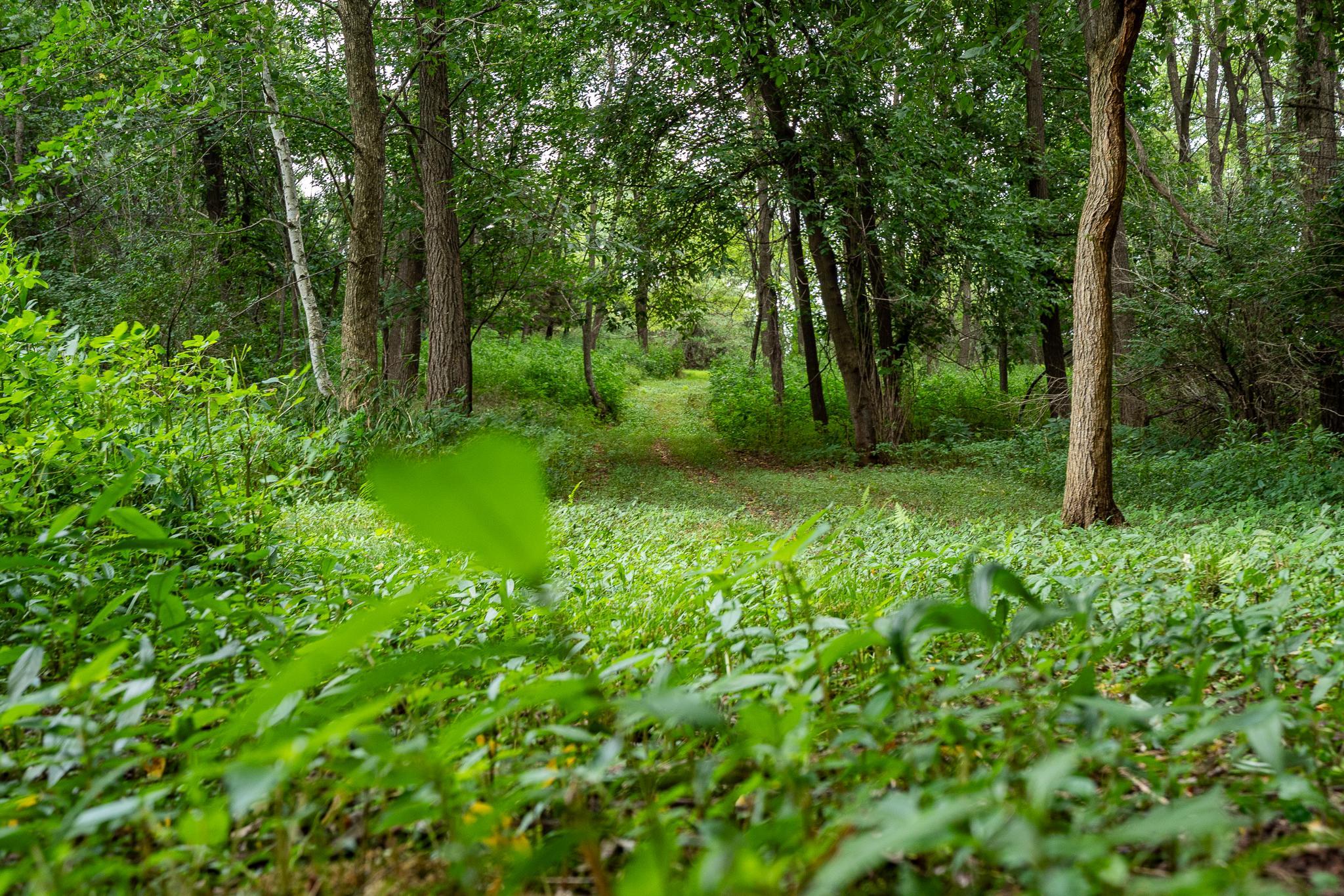 View of Residential at 20370 Ostrum Avenue, Marine On Saint Croix MN 55047, Marine On Saint Croix (53 of 67) - Mike Wilen | Minnesota Team Real Estate