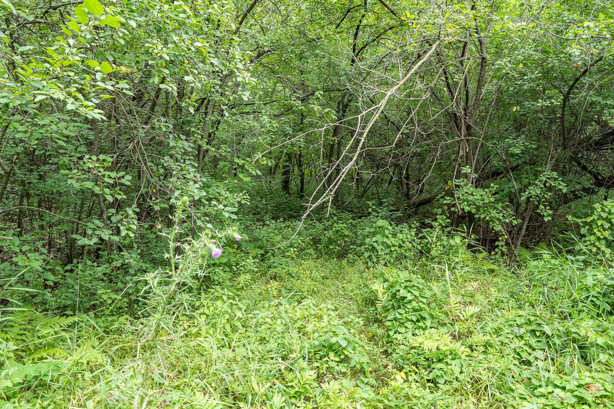 View of Residential at 20370 Ostrum Avenue, Marine On Saint Croix MN 55047, Marine On Saint Croix (48 of 67) - Mike Wilen | Minnesota Team Real Estate