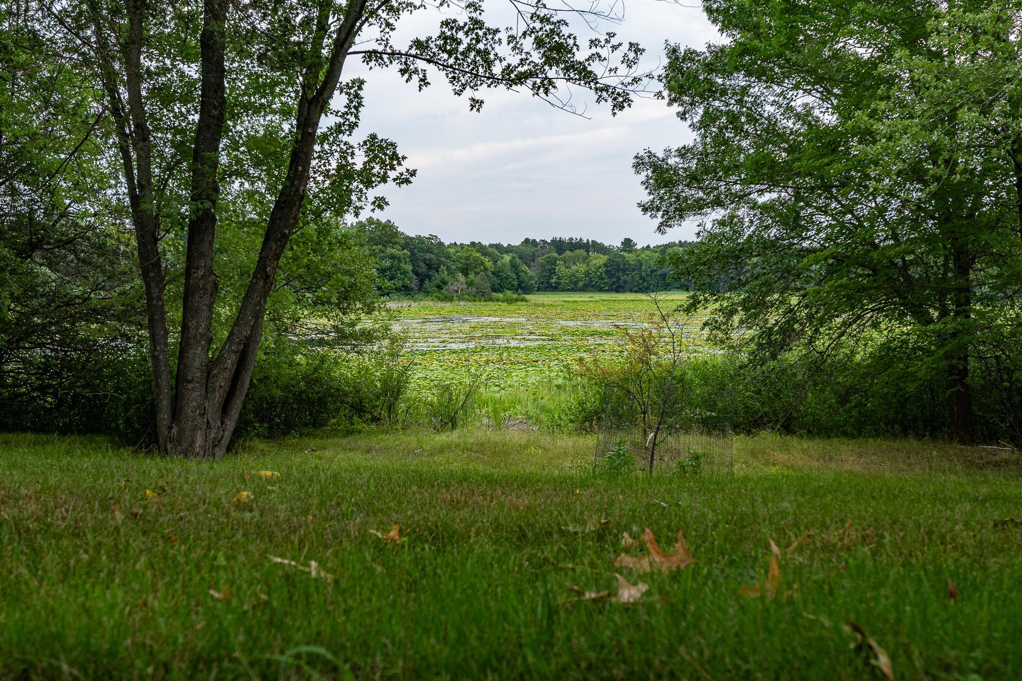 View of Residential at 20370 Ostrum Avenue, Marine On Saint Croix MN 55047, Marine On Saint Croix (36 of 67) - Mike Wilen | Minnesota Team Real Estate