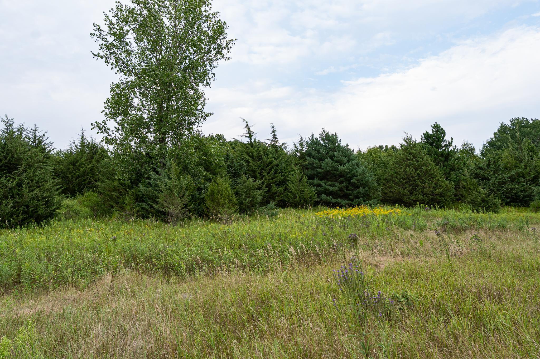 View of Residential at 20370 Ostrum Avenue, Marine On Saint Croix MN 55047, Marine On Saint Croix (26 of 67) - Mike Wilen | Minnesota Team Real Estate