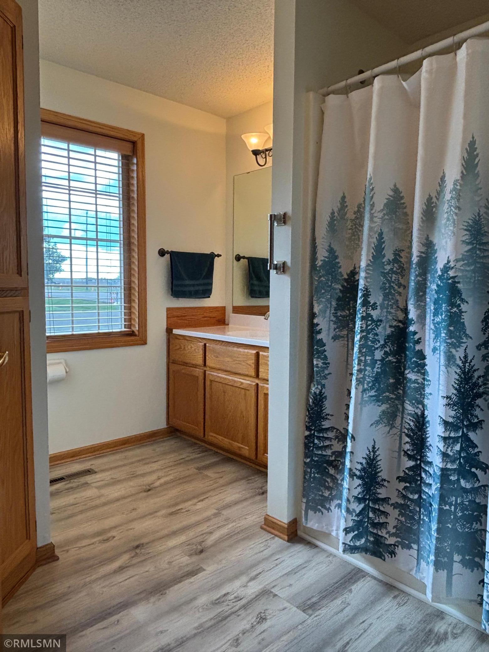 View of Residential at 10102 Karston Avenue, Albertville MN 55301, Albertville (18 of 22) - Mike Wilen | Minnesota Team Real Estate