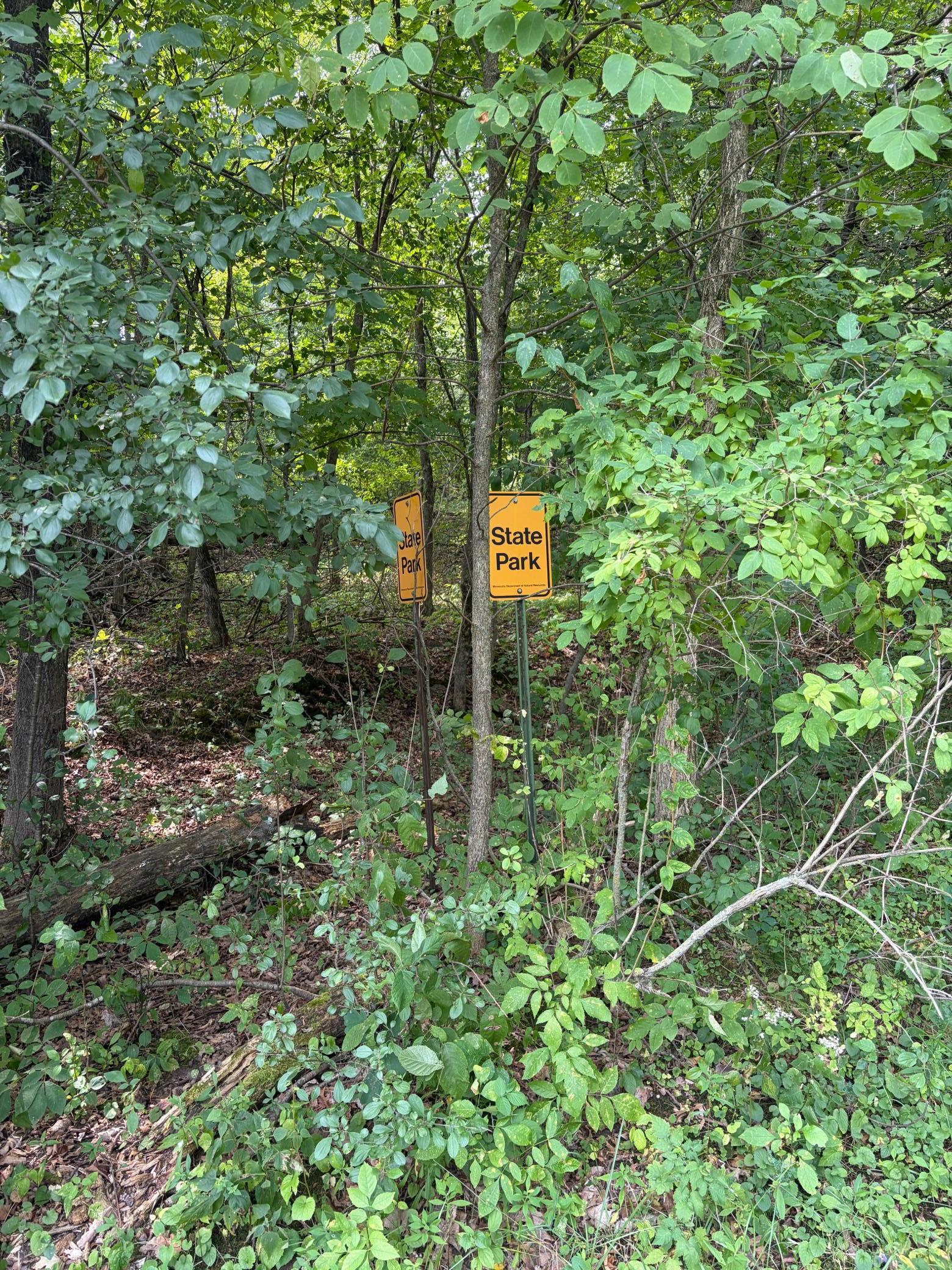 View of Land at 347 Military Road, Taylors Falls MN 55084, Taylors Falls (4 of 11) - Mike Wilen | Minnesota Team Real Estate
