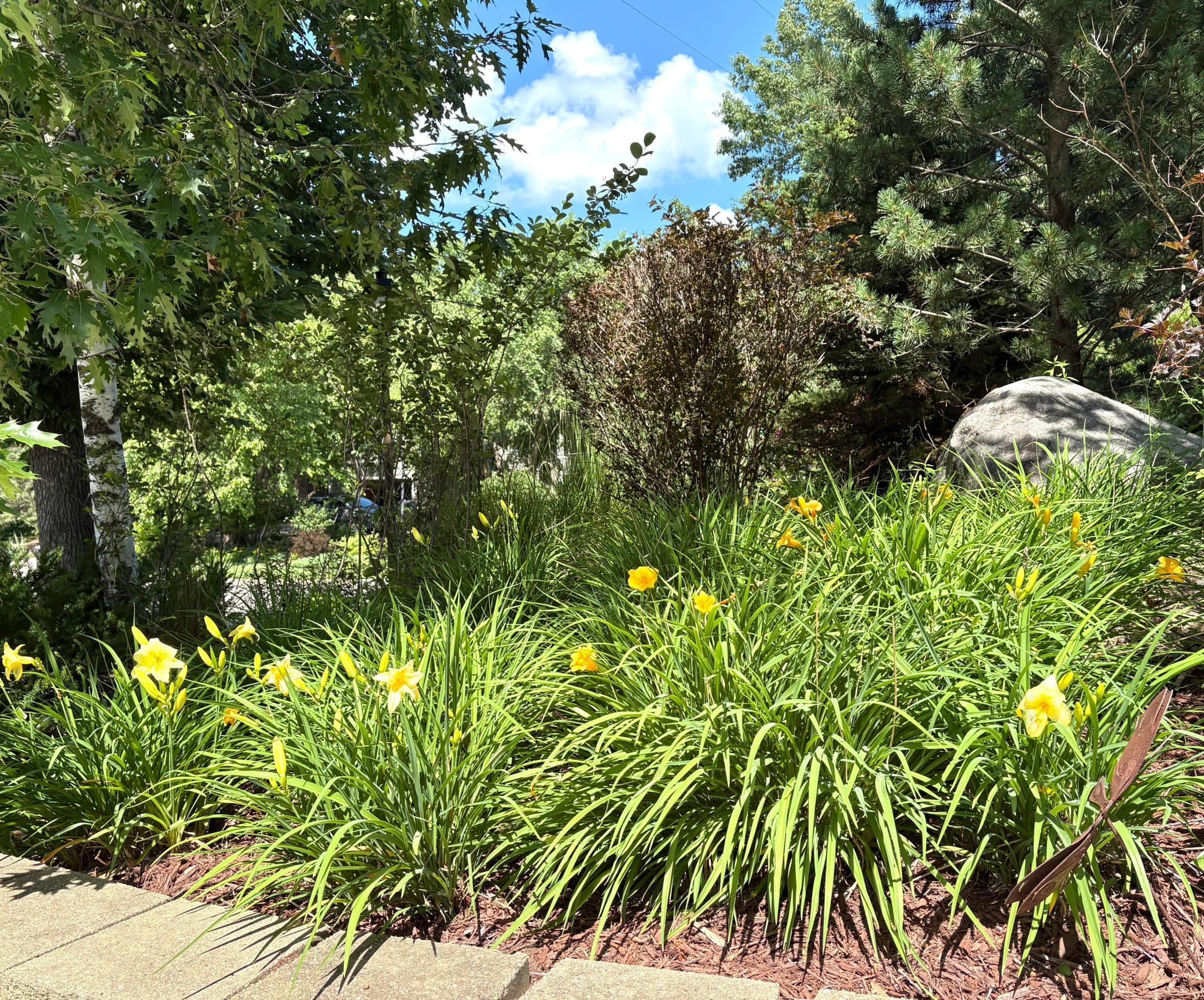 View of Residential at 4015 Hosford Hills Road, Eagan MN 55123, Eagan (53 of 57) - Mike Wilen | Minnesota Team Real Estate