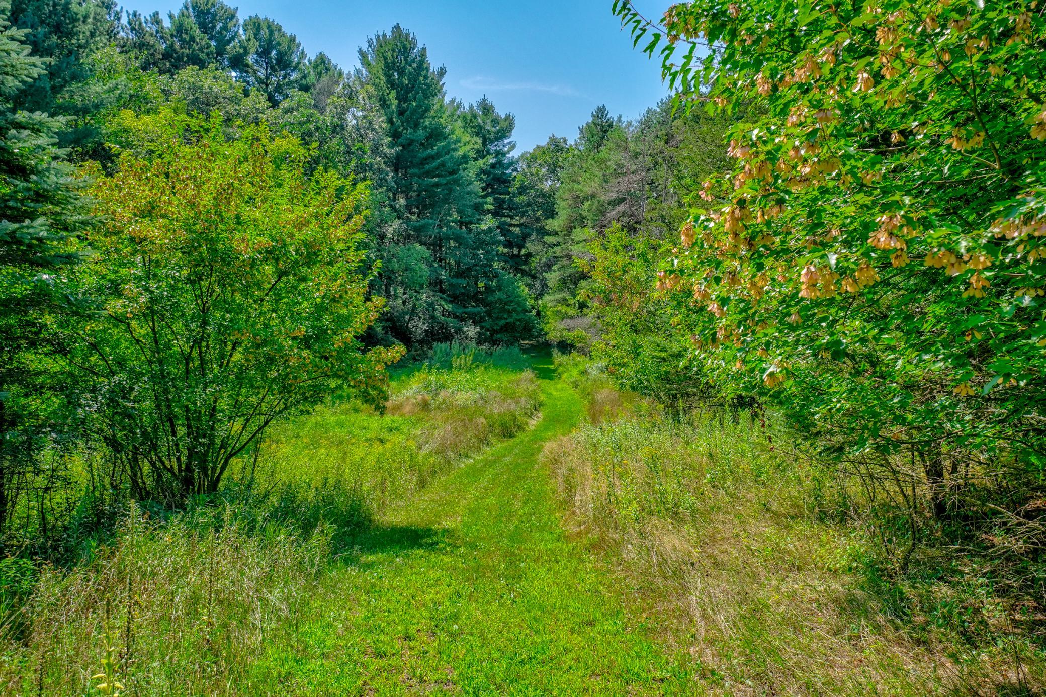 View of Residential at 12860 Saint Croix Trail, Stillwater MN 55082, Stillwater (57 of 82) - Mike Wilen | Minnesota Team Real Estate