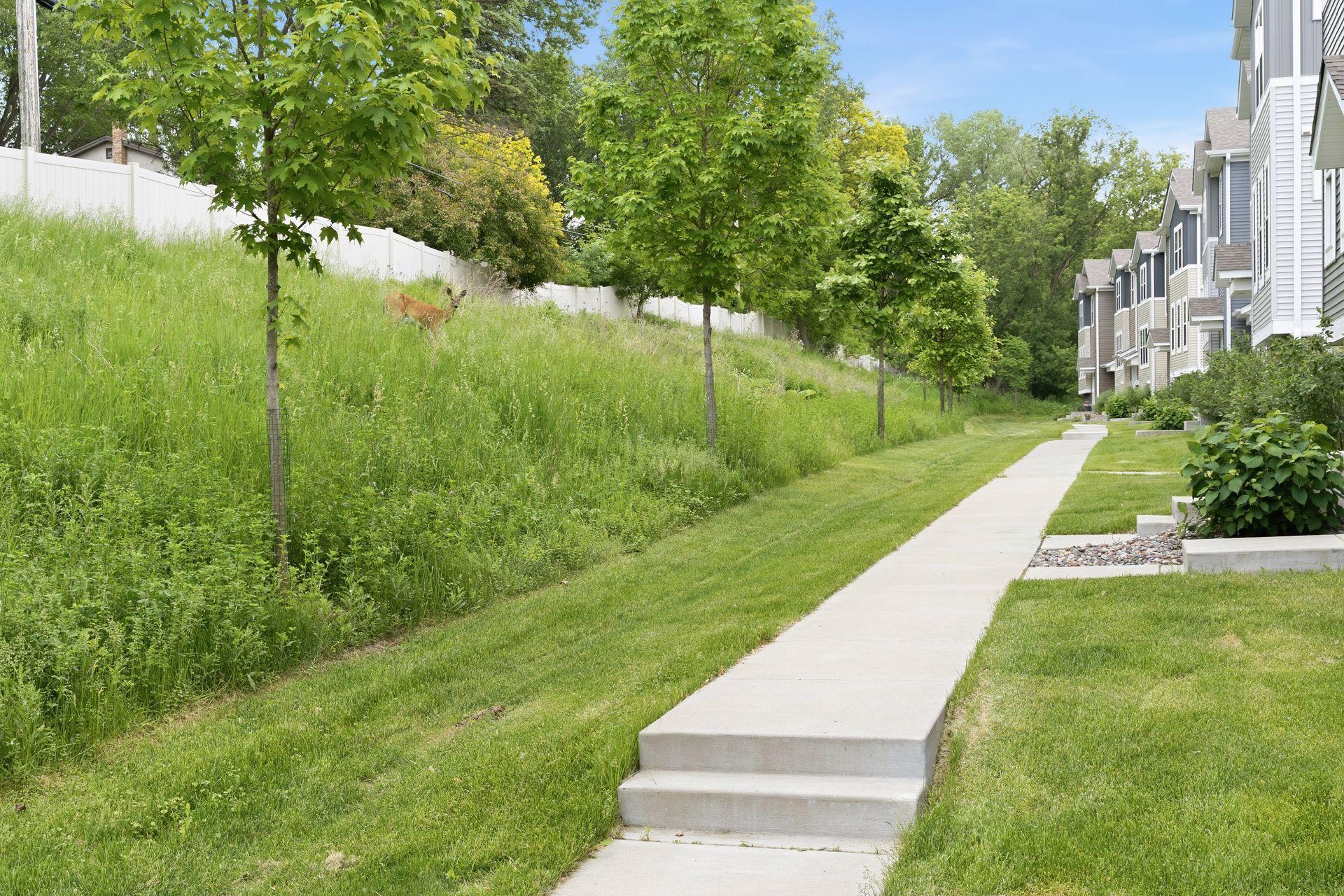 View of Residential at 2864 Lexington Place, Roseville MN 55113, Roseville (8 of 44) - Mike Wilen | Minnesota Team Real Estate