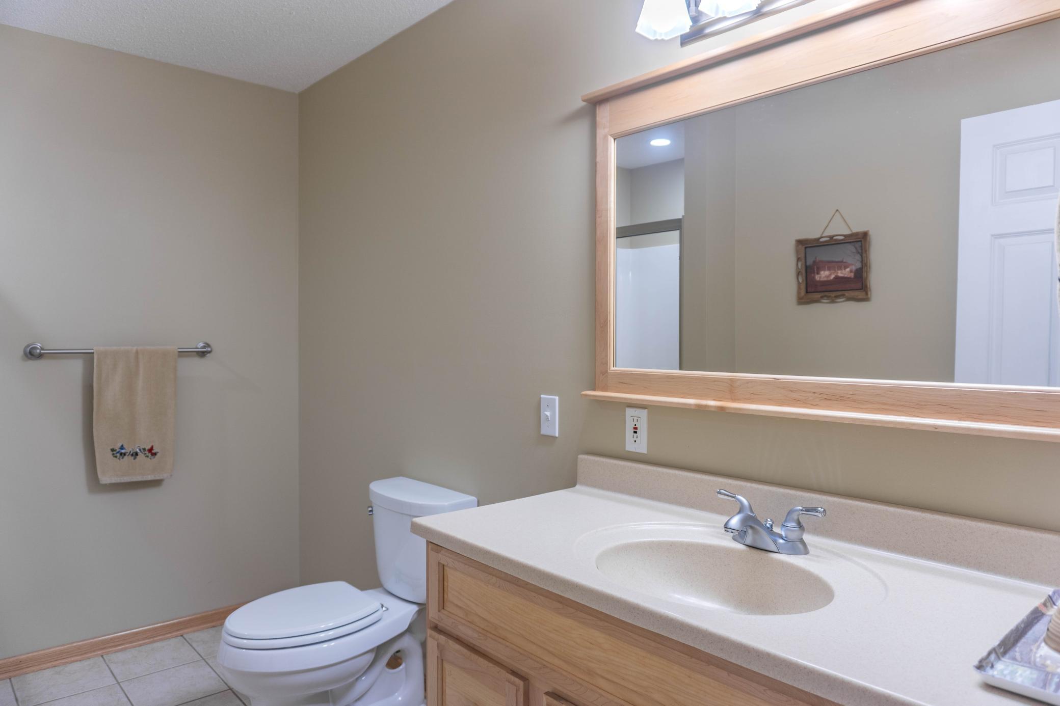 View of Residential at 8356 Crabapple Court, Victoria MN 55386, Victoria (43 of 77) - Mike Wilen | Minnesota Team Real Estate