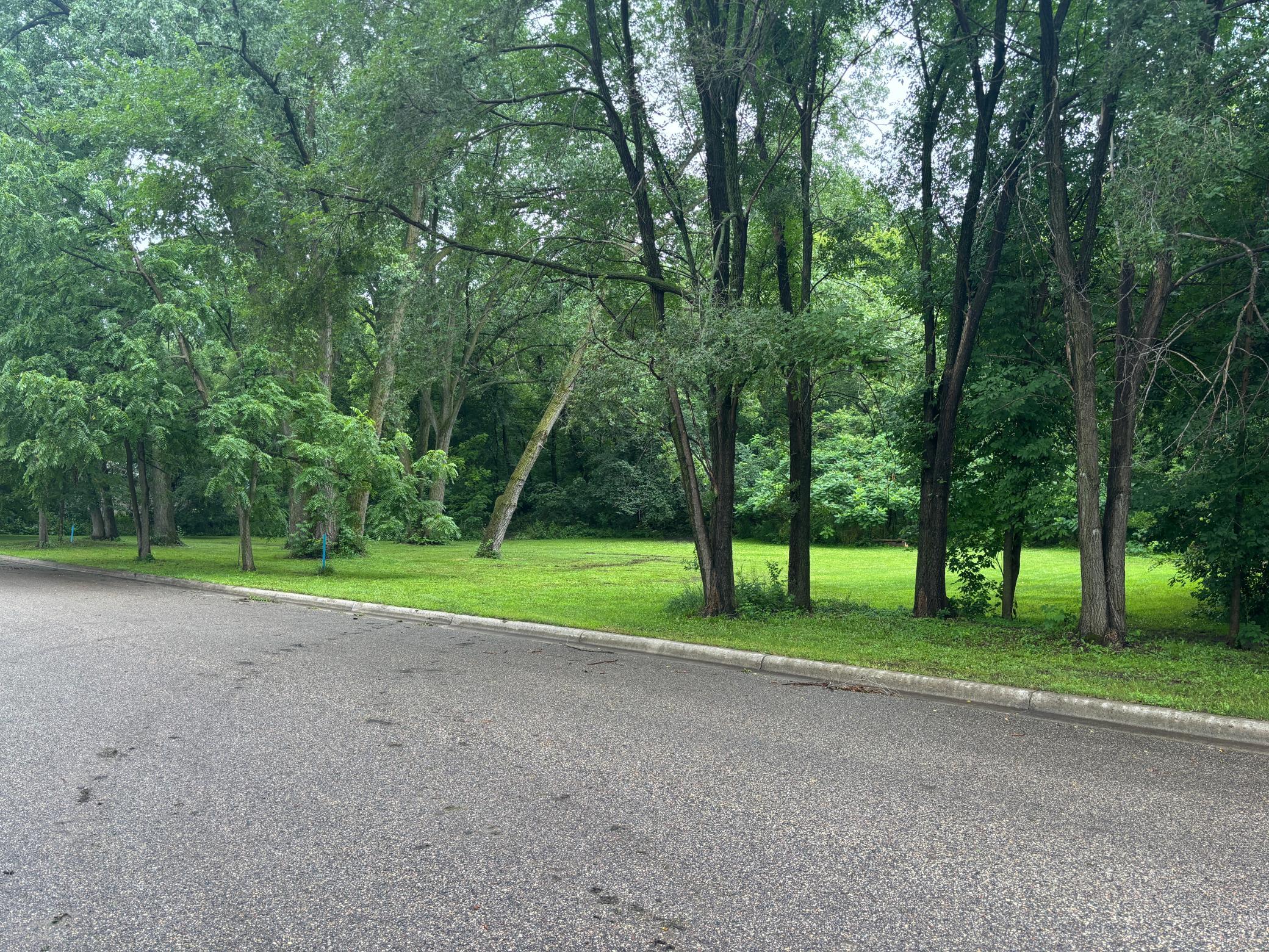 View of Land at TBD Rustle Rd, Jordan MN 55352, Jordan (2 of 5) - Mike Wilen | Minnesota Team Real Estate