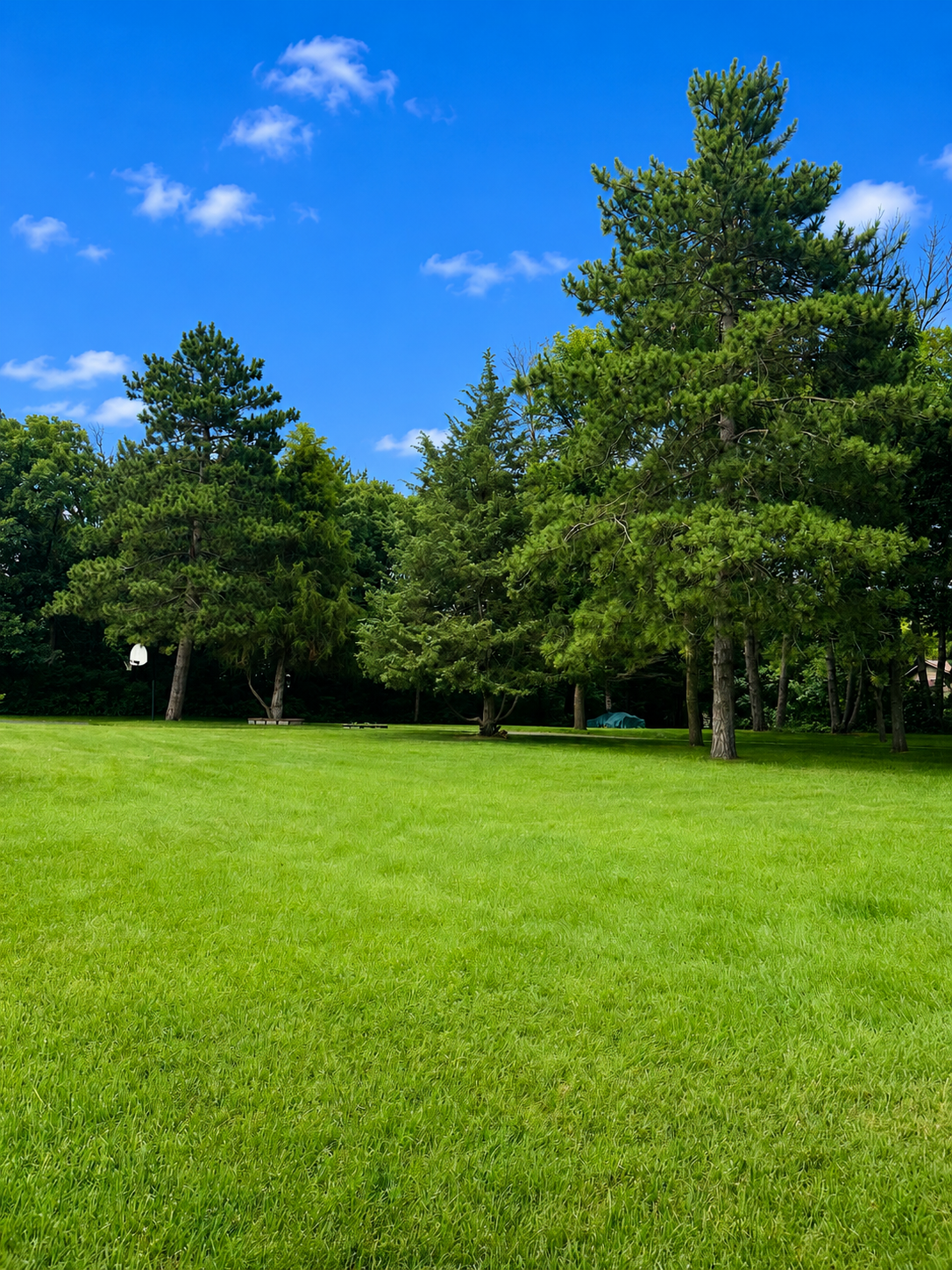 View of Residential at 26886 147th Street, Zimmerman MN 55398, Zimmerman (4 of 35) - Mike Wilen | Minnesota Team Real Estate