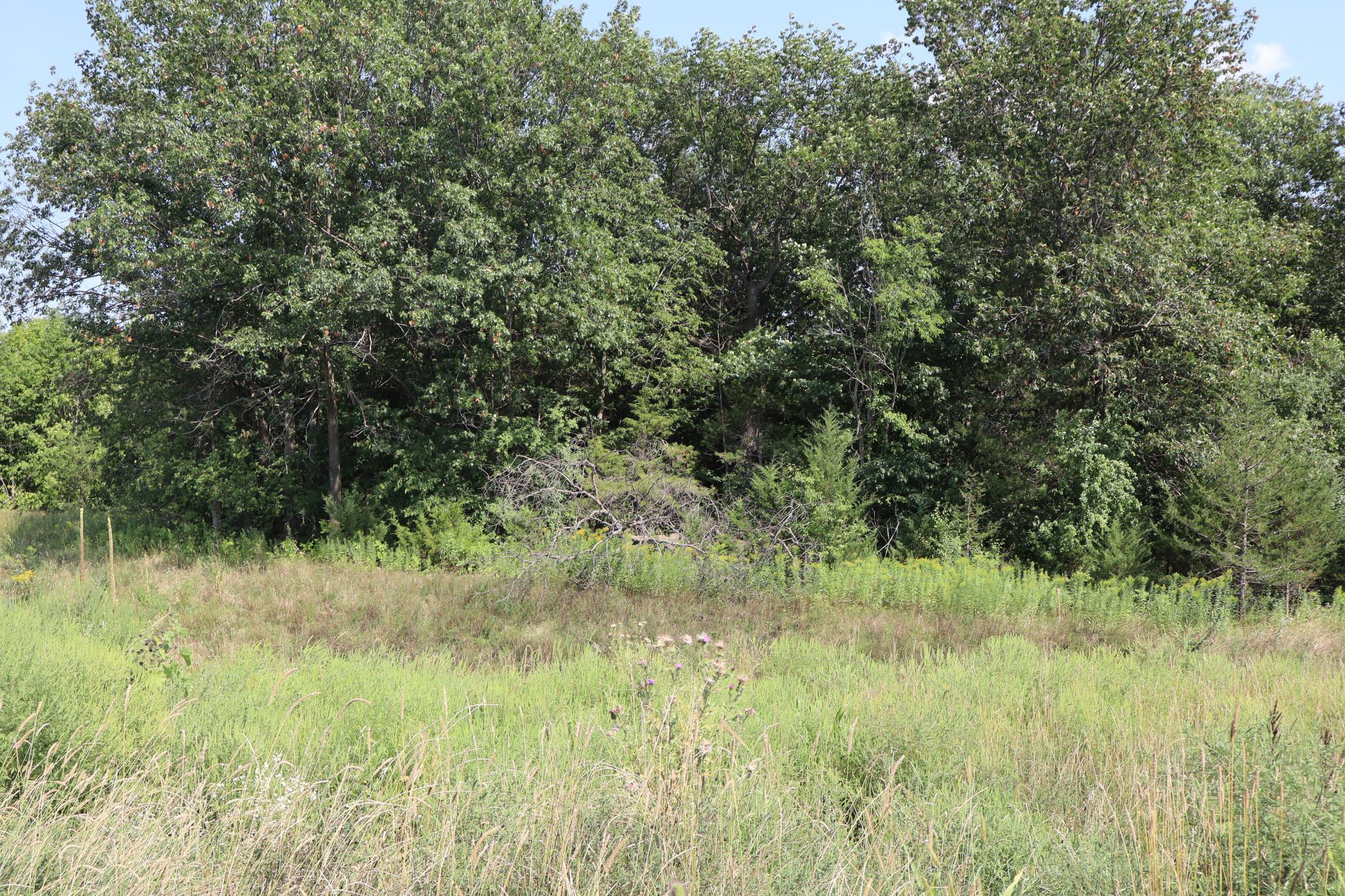 View of Land at 2011 Mulberry Lane, Carver MN 55315, Carver (2 of 4) - Mike Wilen | Minnesota Team Real Estate