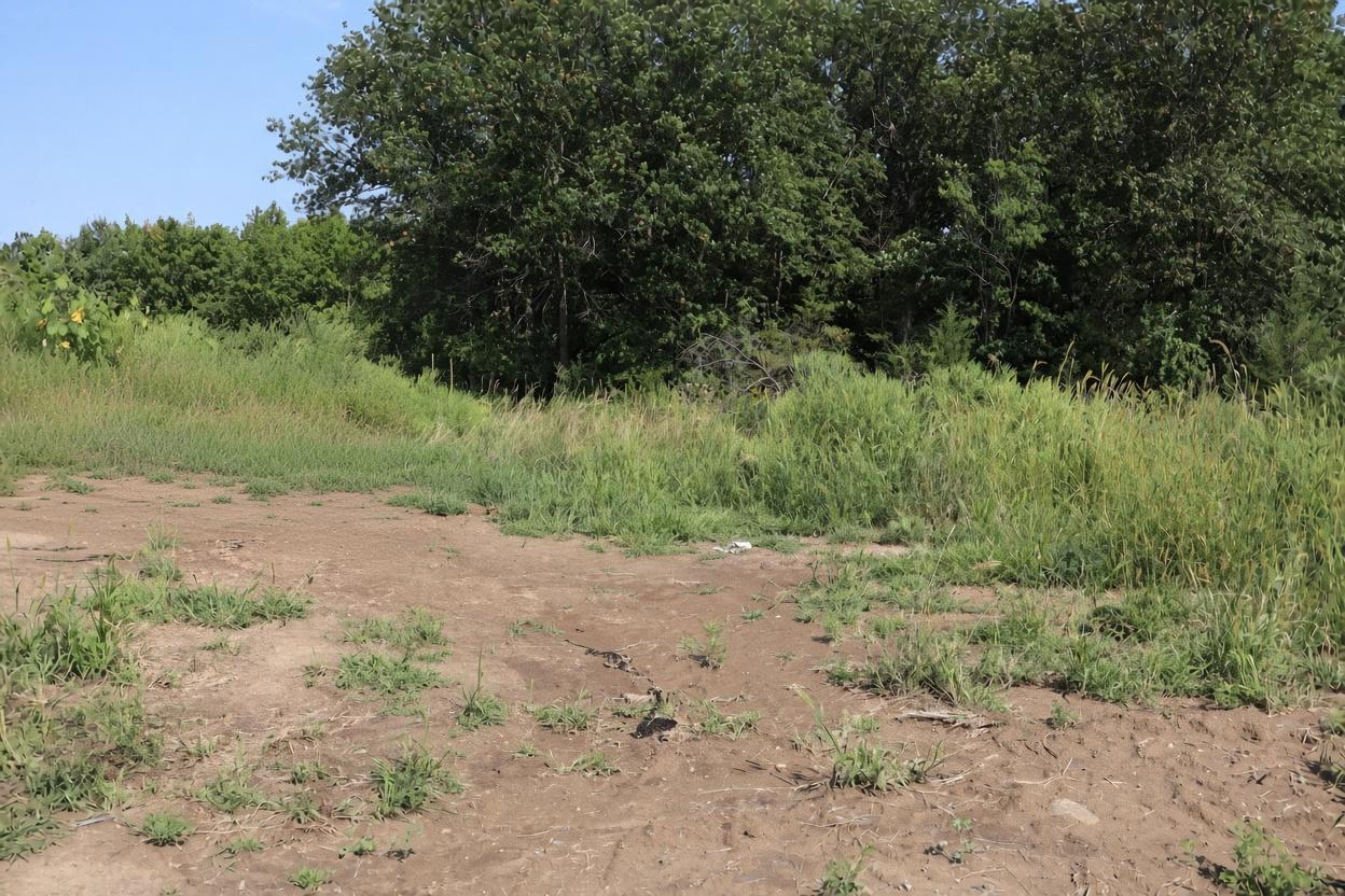 View of Land at 2011 Mulberry Lane, Carver MN 55315, Carver - Mike Wilen | Minnesota Team Real Estate