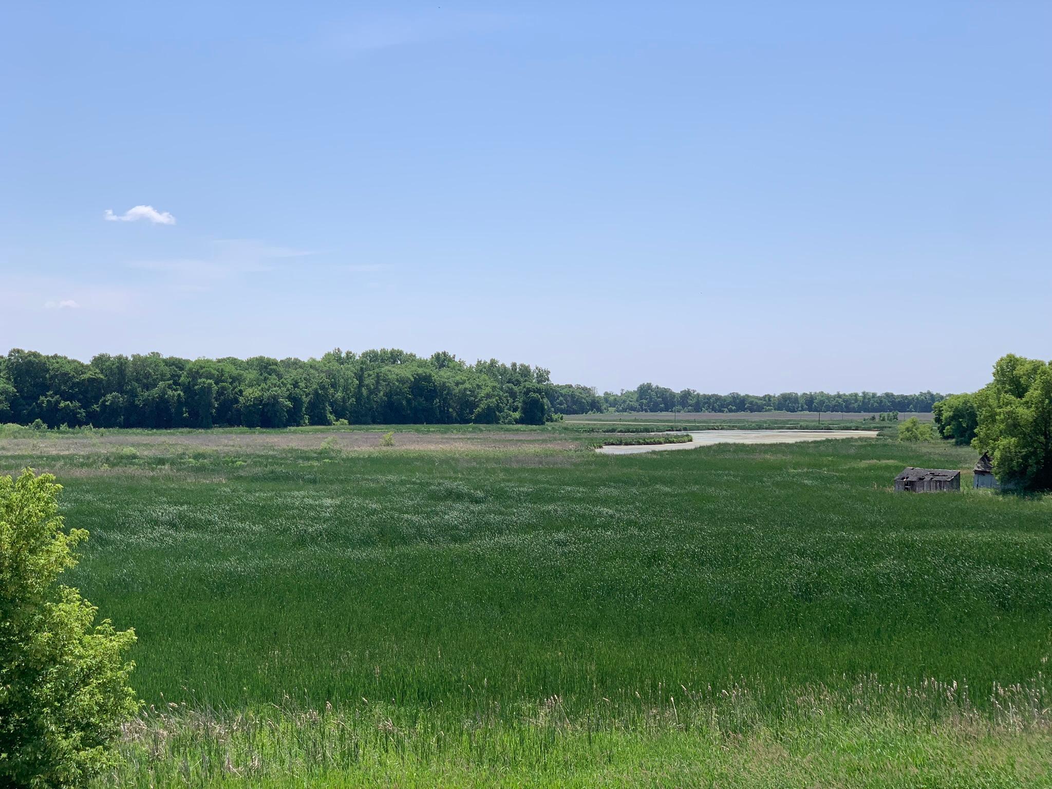 View of Residential at 19311 137th Avenue, Rogers MN 55374, Rogers (14 of 20) - Mike Wilen | Minnesota Team Real Estate