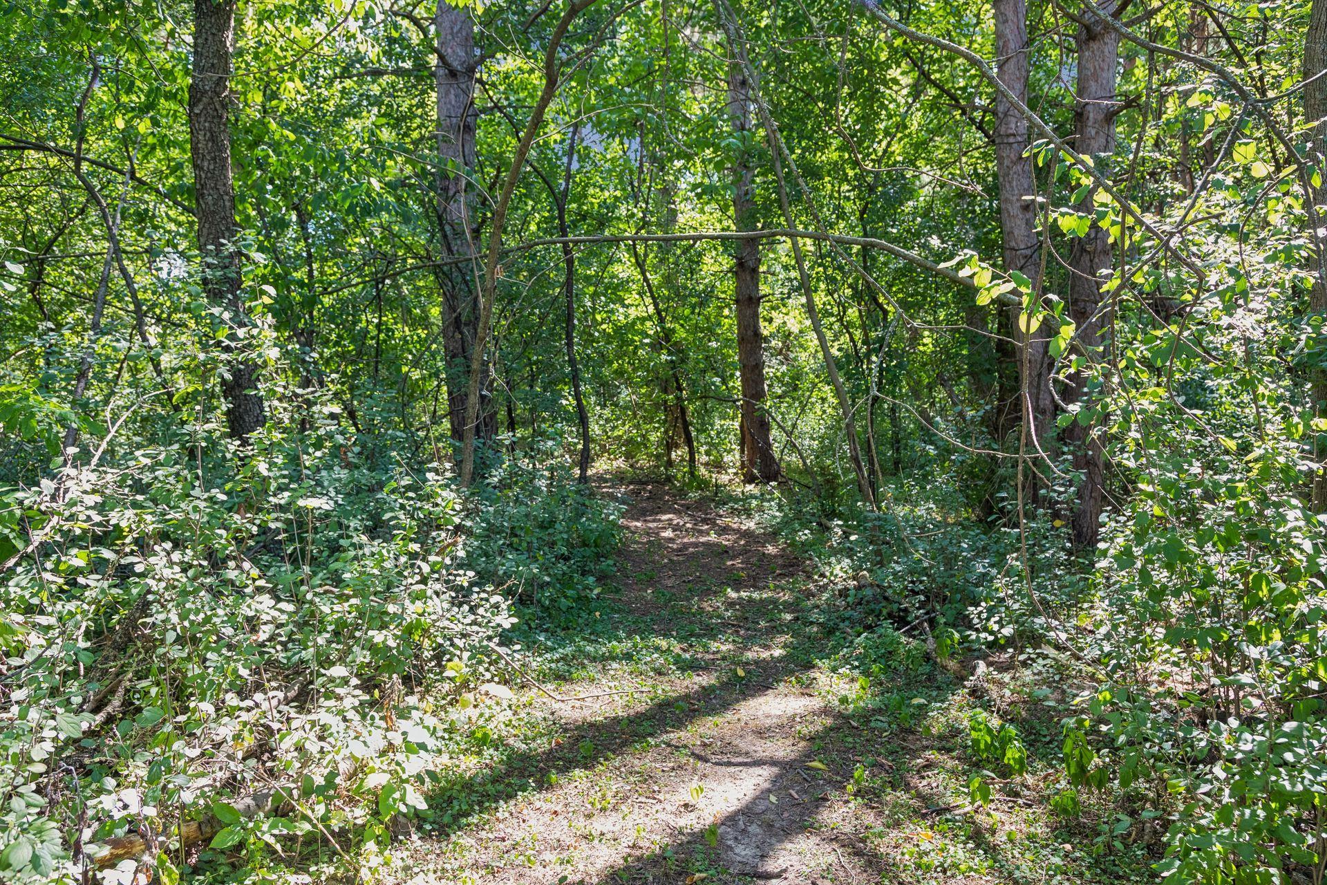 View of Residential at 8249 Deer Pond Court, Lake Elmo MN 55042, Lake Elmo (41 of 54) - Mike Wilen | Minnesota Team Real Estate