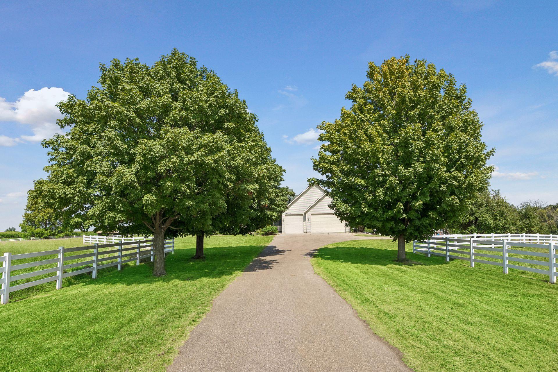 View of Residential at 16465 County Road 53, Cologne MN 55322, Cologne (12 of 53) - Mike Wilen | Minnesota Team Real Estate