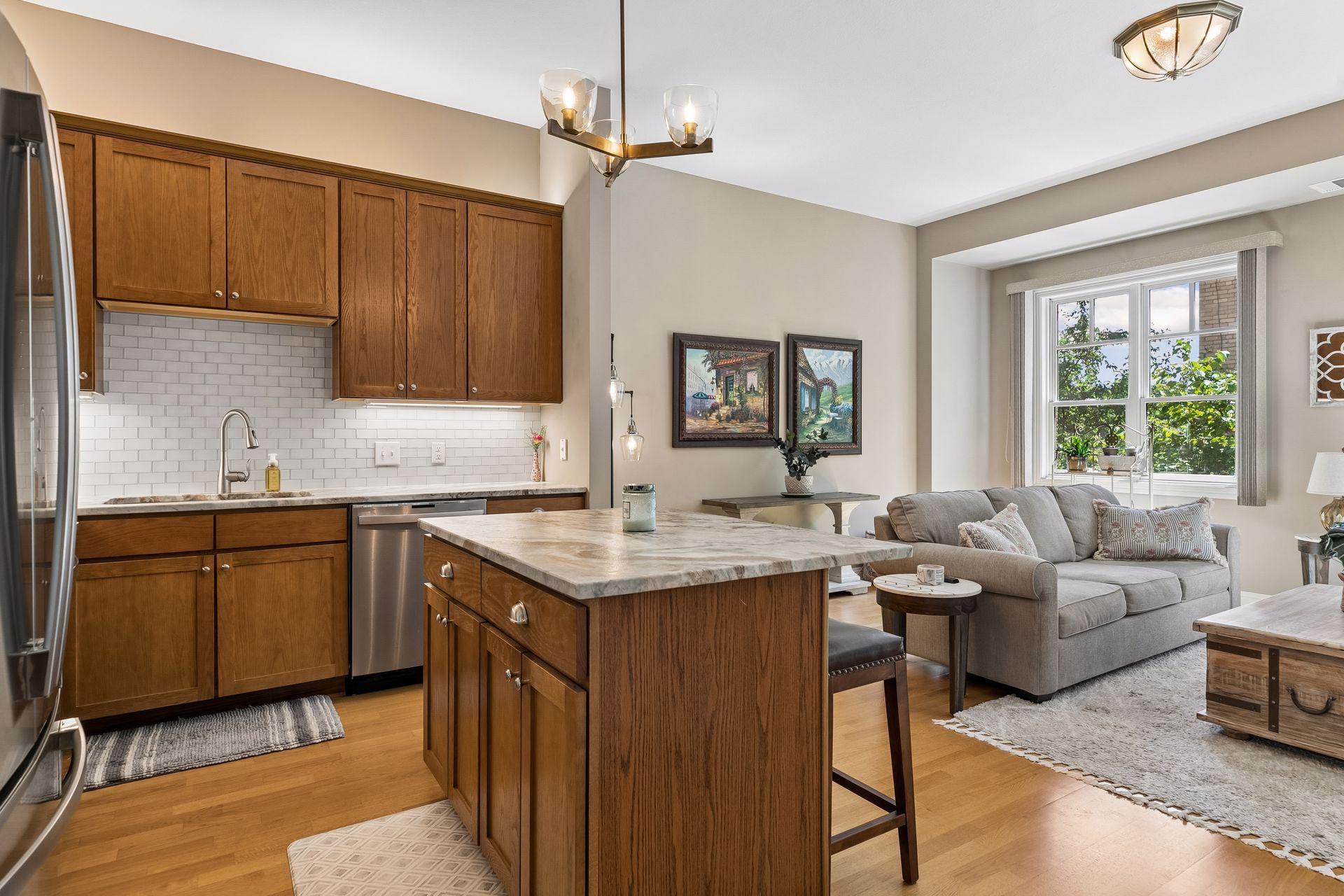 View of Residential at 370 Marshall Avenue #201, Saint Paul MN 55102, Saint Paul (11 of 41) - Mike Wilen | Minnesota Team Real Estate