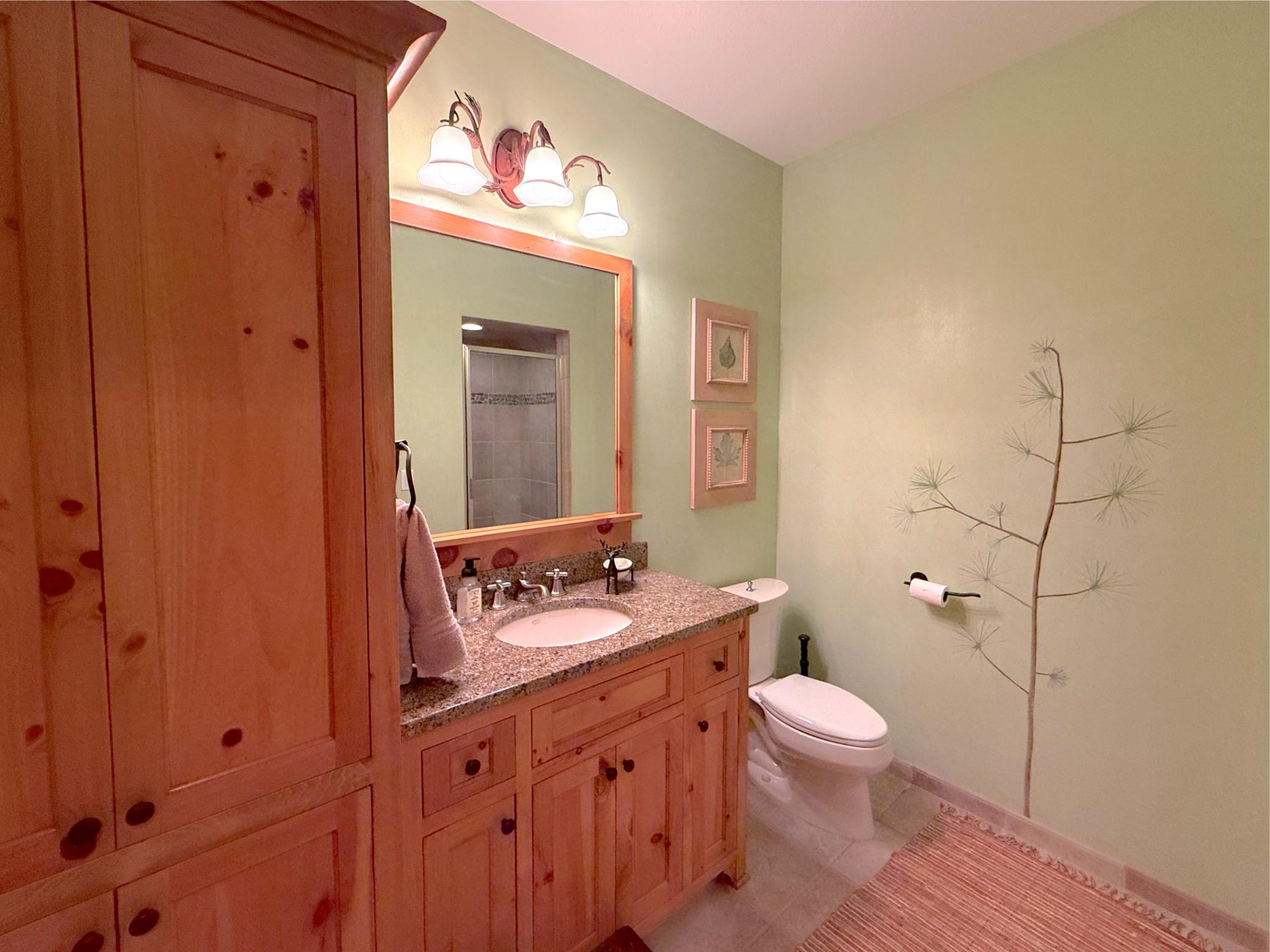 View of Residential at 7470 Pilger Avenue, South Haven MN 55382, South Haven (79 of 120) - Mike Wilen | Minnesota Team Real Estate
