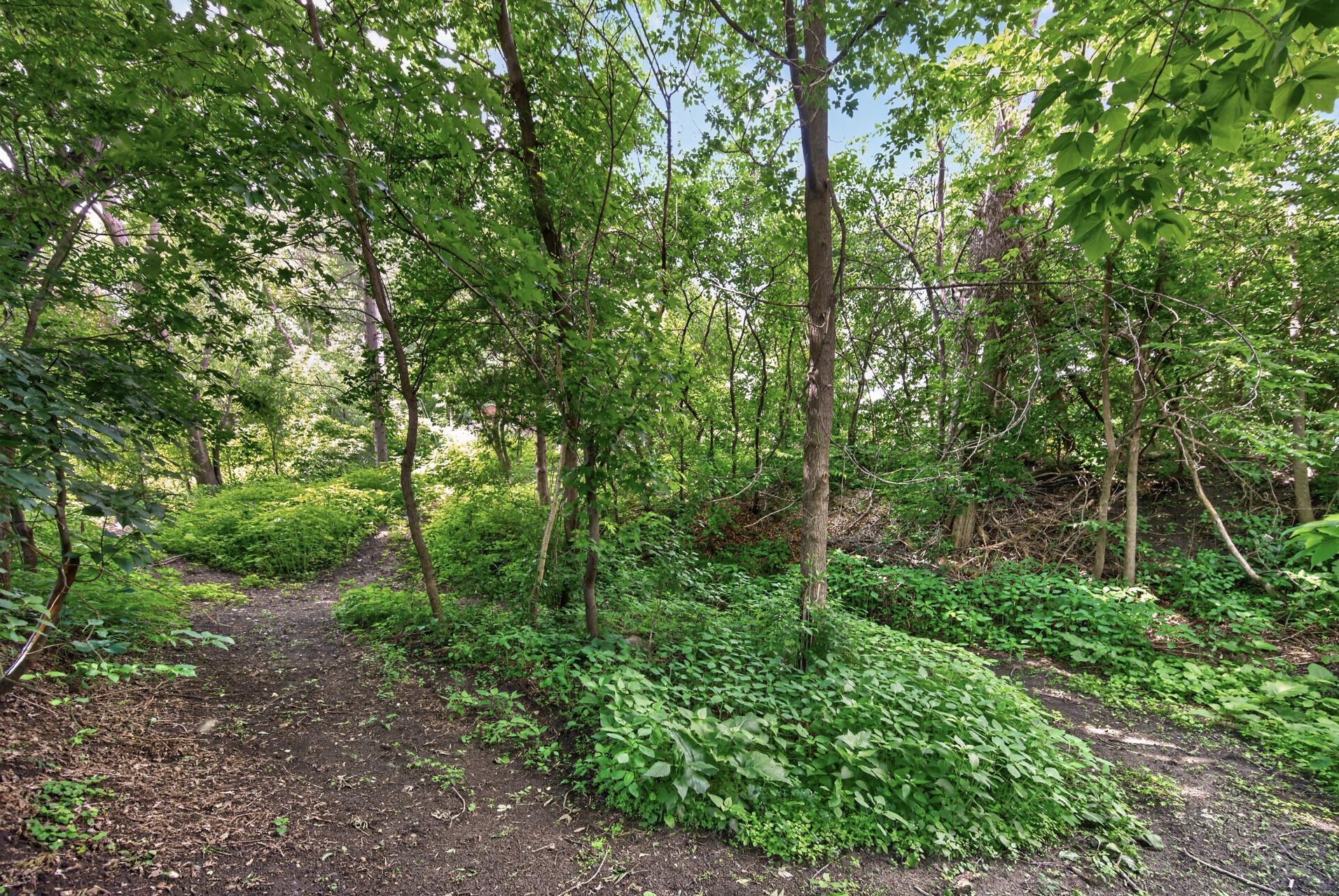 View of Residential at 7712 Riverdale Drive, Brooklyn Park MN 55444, Brooklyn Park (54 of 59) - Mike Wilen | Minnesota Team Real Estate