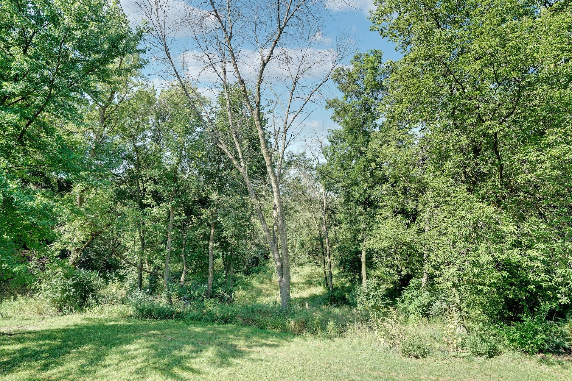 View of Residential at 24826 Panama Avenue, Elko New Market MN 55020, Elko New Market (58 of 59) - Mike Wilen | Minnesota Team Real Estate
