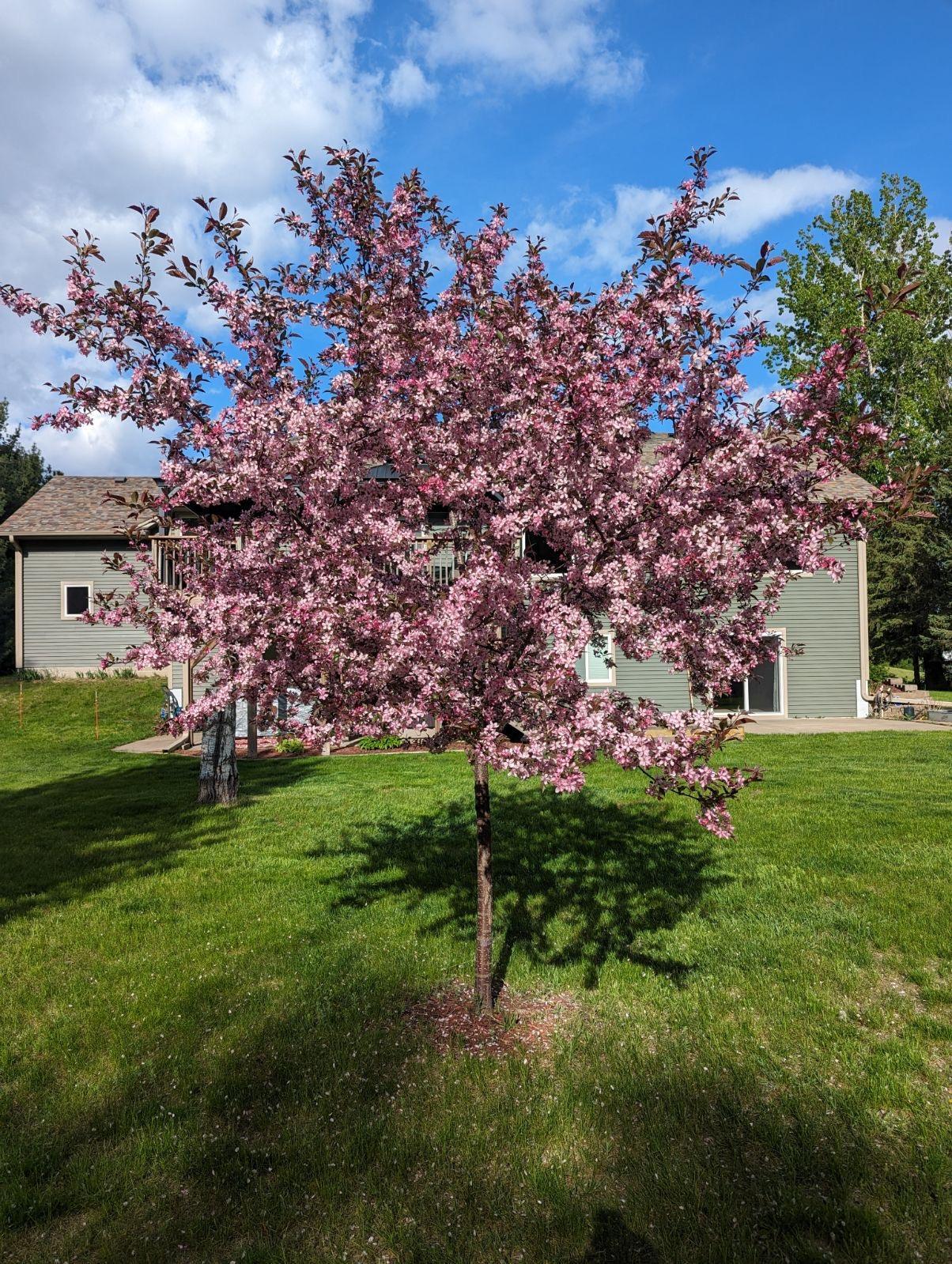 View of Residential at 14954 Durant Street, Ham Lake MN 55304, Ham Lake (41 of 46) - Mike Wilen | Minnesota Team Real Estate