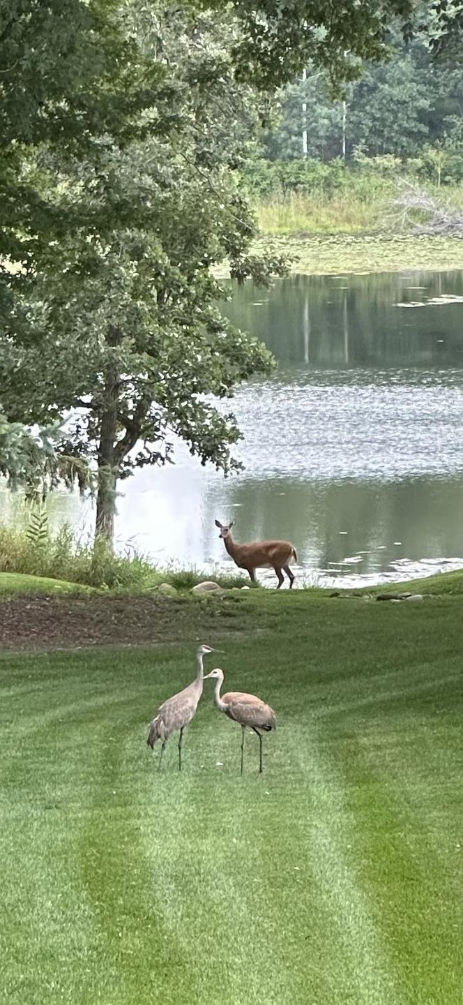 View of Residential at 4570 Neal Avenue, Stillwater MN 55082, Stillwater (78 of 83) - Mike Wilen | Minnesota Team Real Estate