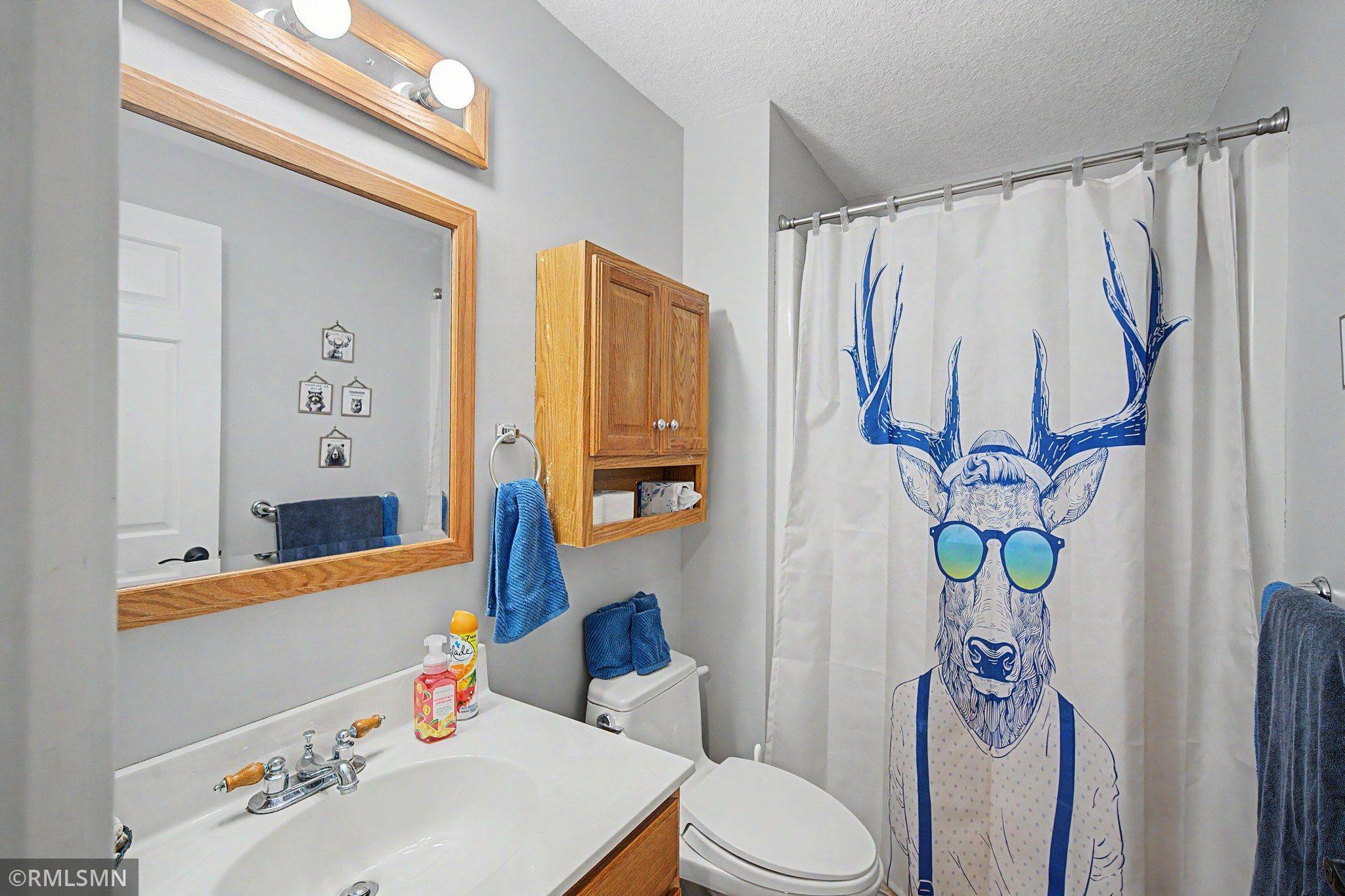 View of Residential at 748 101st Lane, Blaine MN 55434, Blaine (26 of 33) - Mike Wilen | Minnesota Team Real Estate