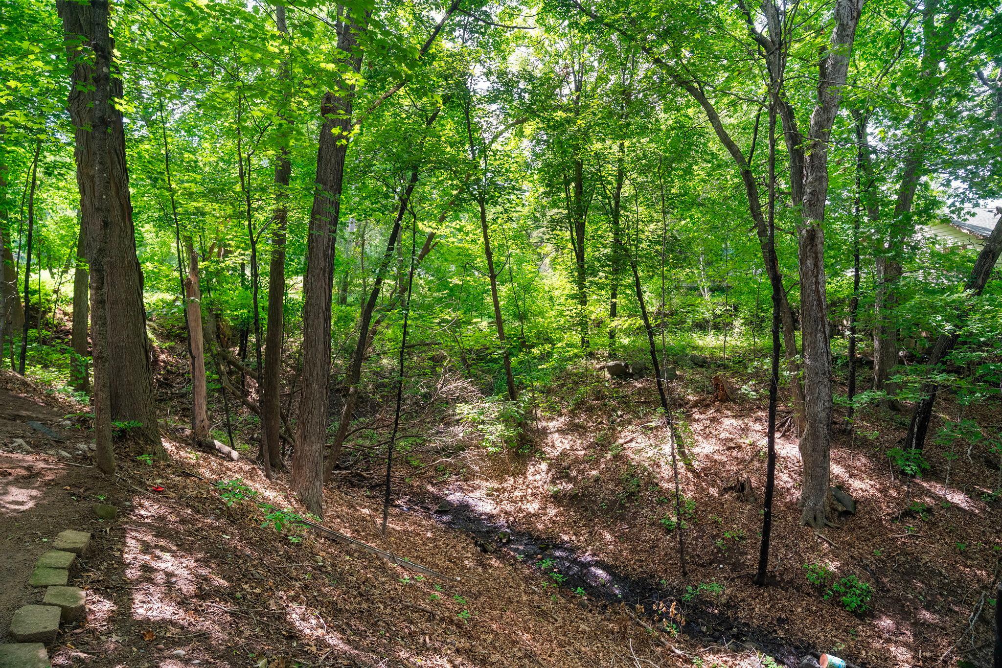 View of Residential at 355 West Street, Taylors Falls MN 55084, Taylors Falls (34 of 42) - Mike Wilen | Minnesota Team Real Estate