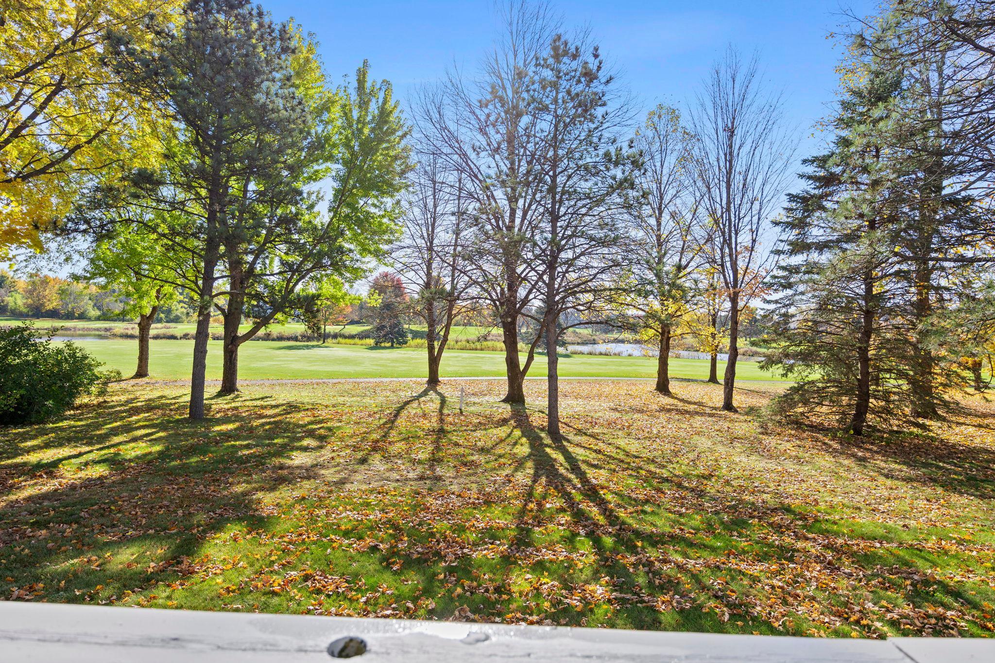 View of Residential at 3563 Rae Lane, Woodbury MN 55125, Woodbury (80 of 89) - Mike Wilen | Minnesota Team Real Estate