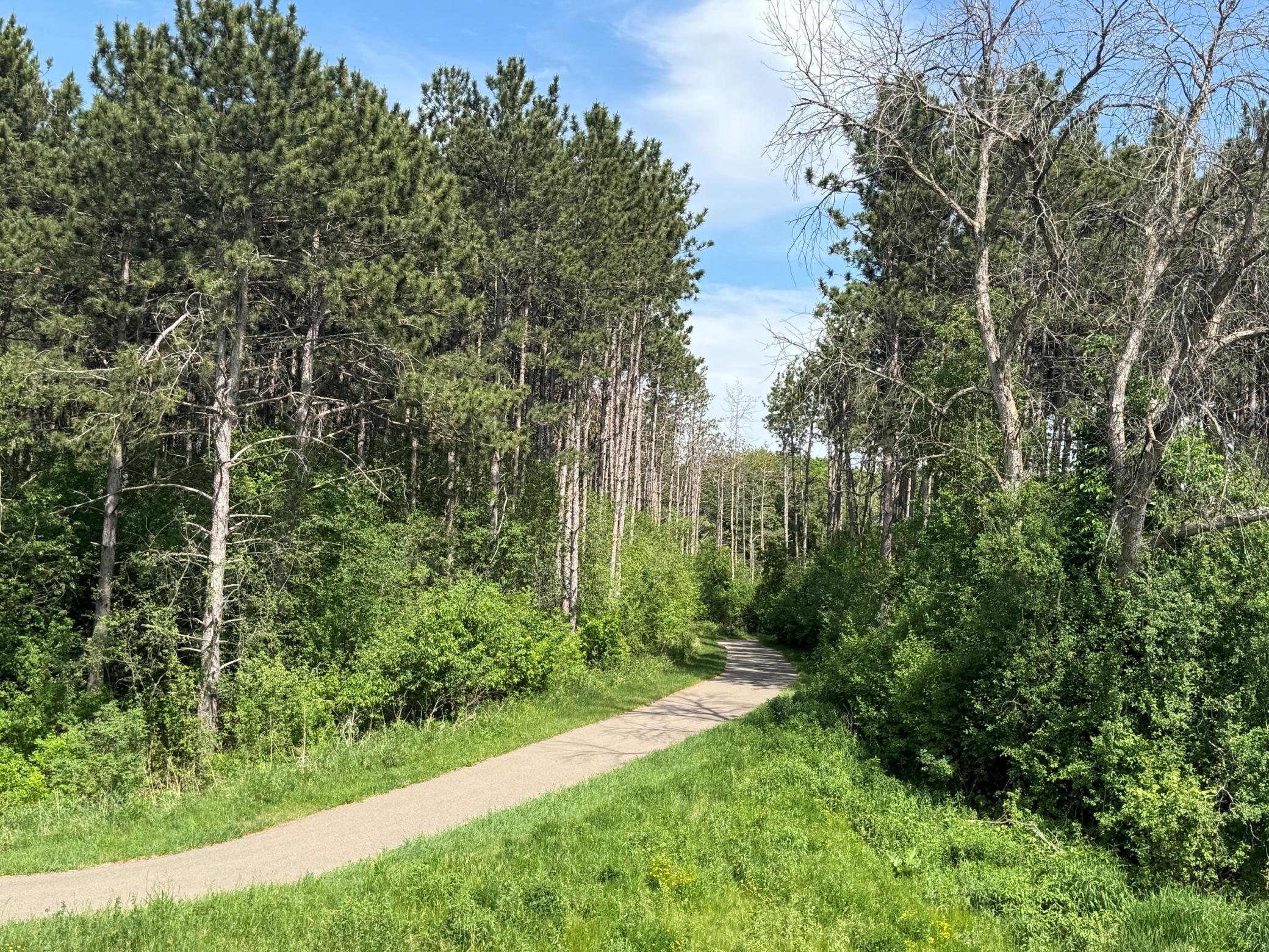 View of Residential at 6272 61st Street, Cottage Grove MN 55016, Cottage Grove (37 of 37) - Mike Wilen | Minnesota Team Real Estate