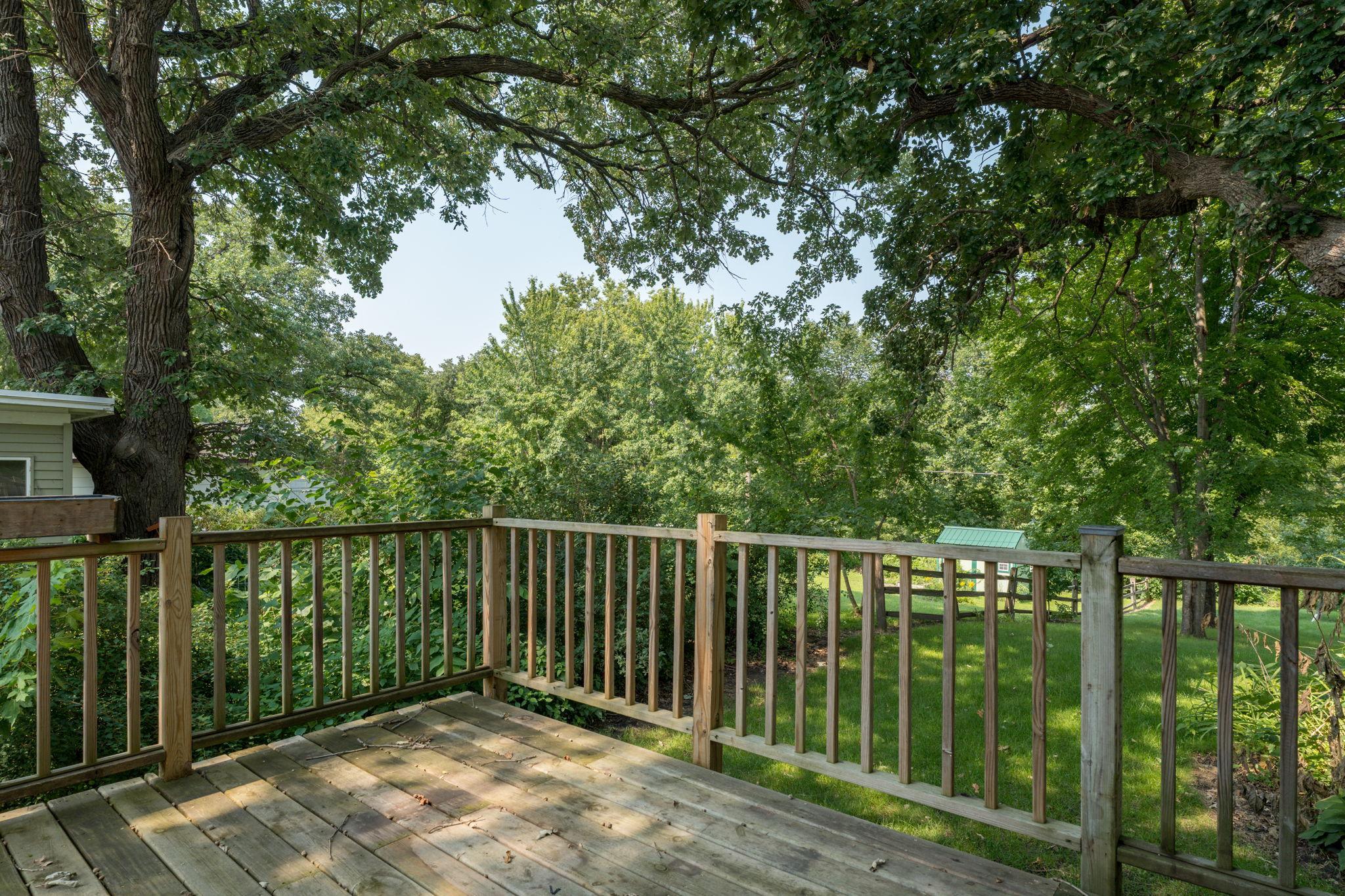 View of Residential at 408 Main Street, Le Sueur MN 56058, Le Sueur (31 of 42) - Mike Wilen | Minnesota Team Real Estate