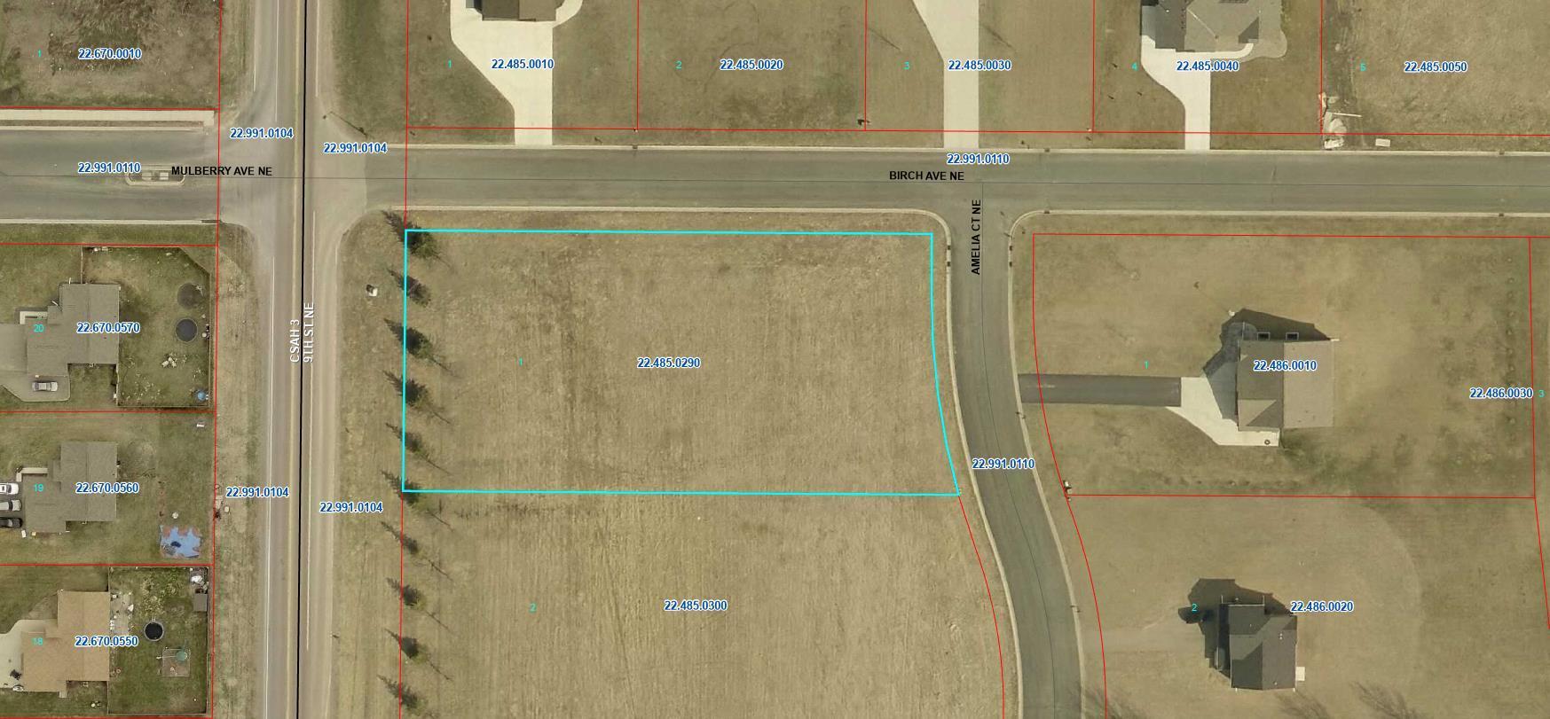 View of Land at 919 Amelia Court, Montgomery MN 56069, Montgomery - Mike Wilen | Minnesota Team Real Estate