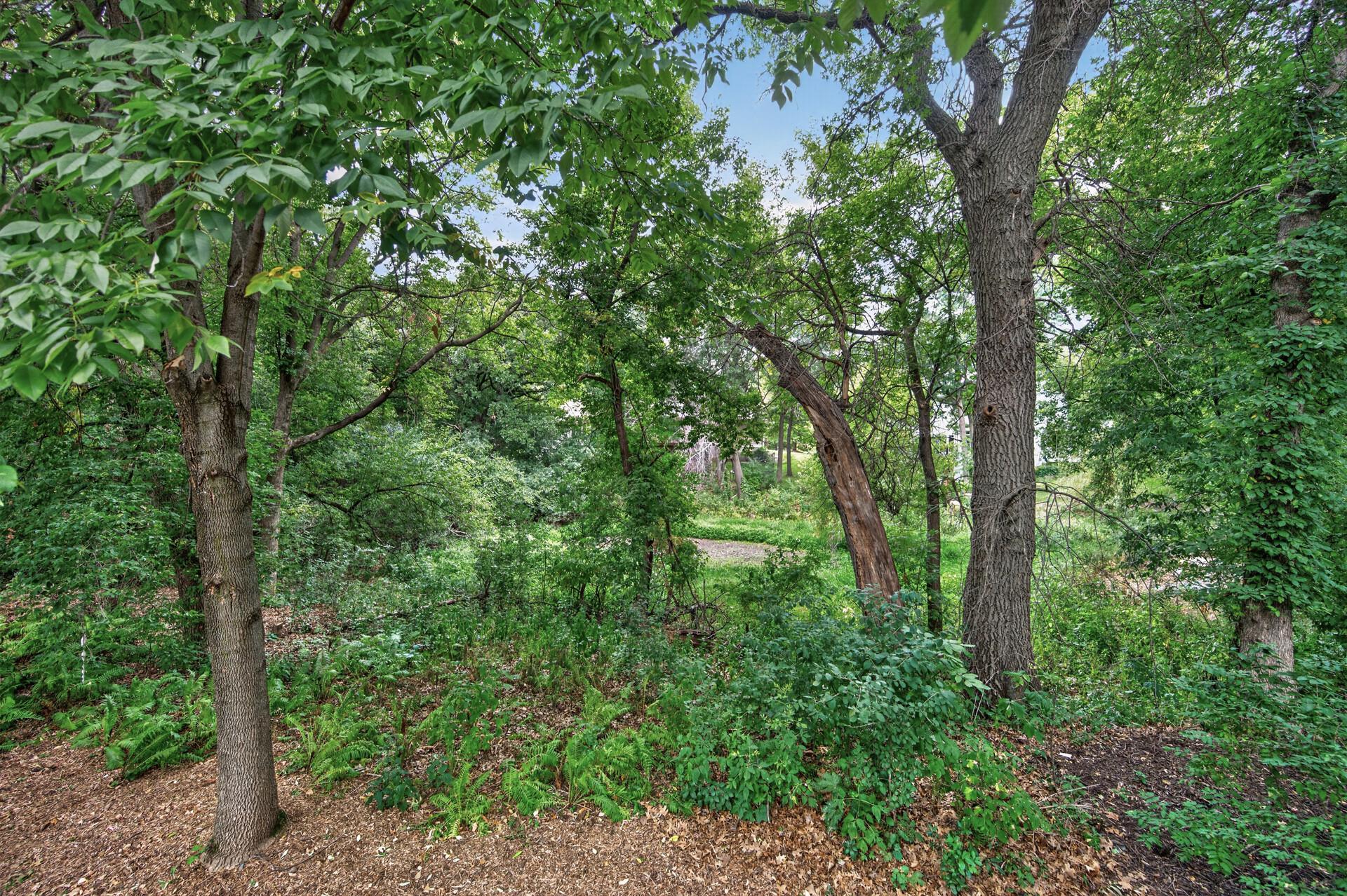 View of Residential at 877 New Century Boulevard, Maplewood MN 55119, Maplewood (51 of 60) - Mike Wilen | Minnesota Team Real Estate