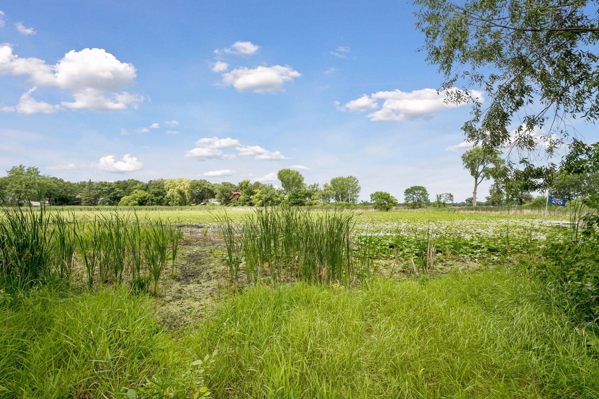 View of Residential at 760 Shady Lane, Big Lake MN 55309, Big Lake (44 of 46) - Mike Wilen | Minnesota Team Real Estate