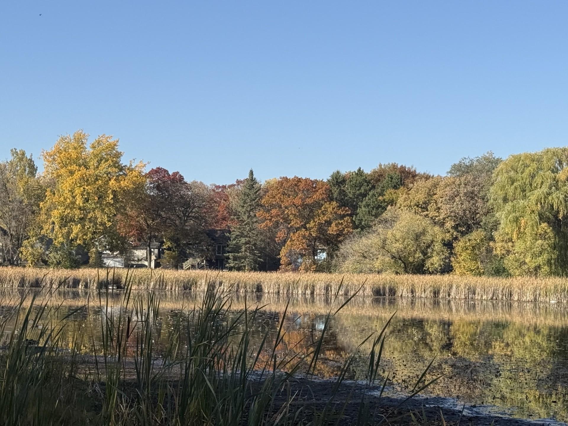 View of Residential at 760 Shady Lane, Big Lake MN 55309, Big Lake (3 of 54) - Mike Wilen | Minnesota Team Real Estate