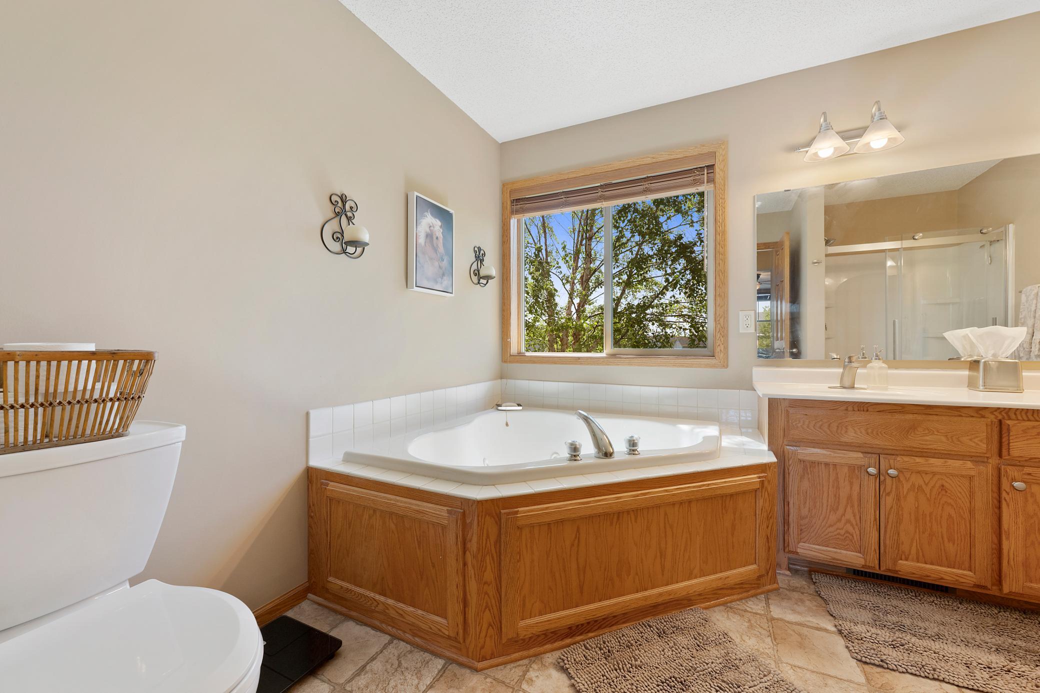 View of Residential at 1774 Fox Run, Shakopee MN 55379, Shakopee (28 of 46) - Mike Wilen | Minnesota Team Real Estate