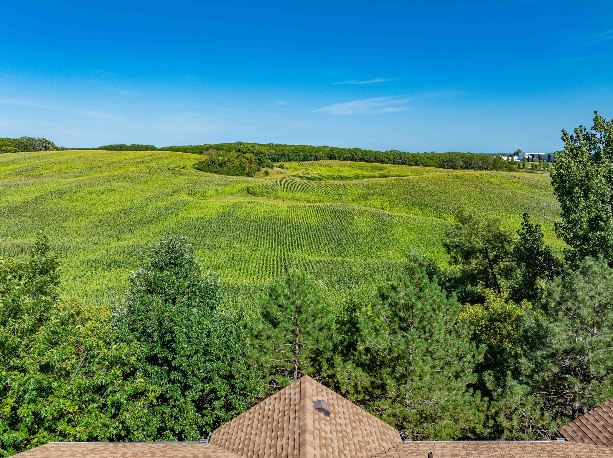 View of Residential at 7657 Primrose Place, Chanhassen MN 55317, Chanhassen (5 of 53) - Mike Wilen | Minnesota Team Real Estate