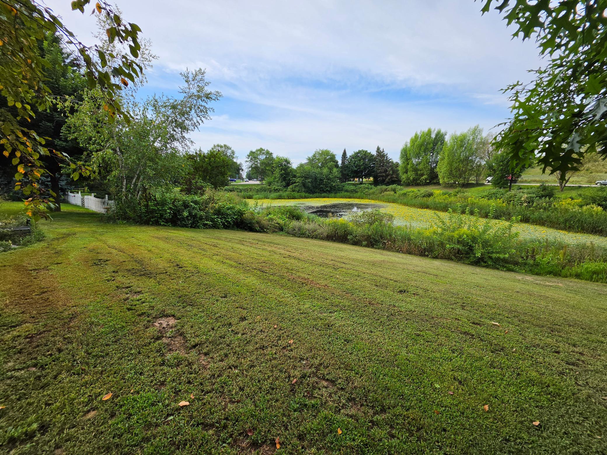 View of Residential at 310 Sibley Street, Carver MN 55315, Carver (3 of 18) - Mike Wilen | Minnesota Team Real Estate